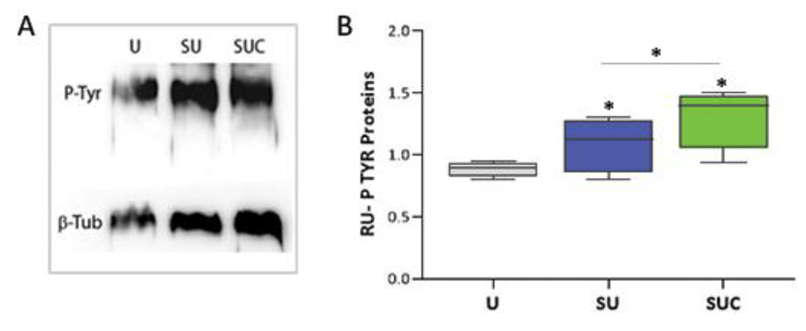 Preprints 83847 g003