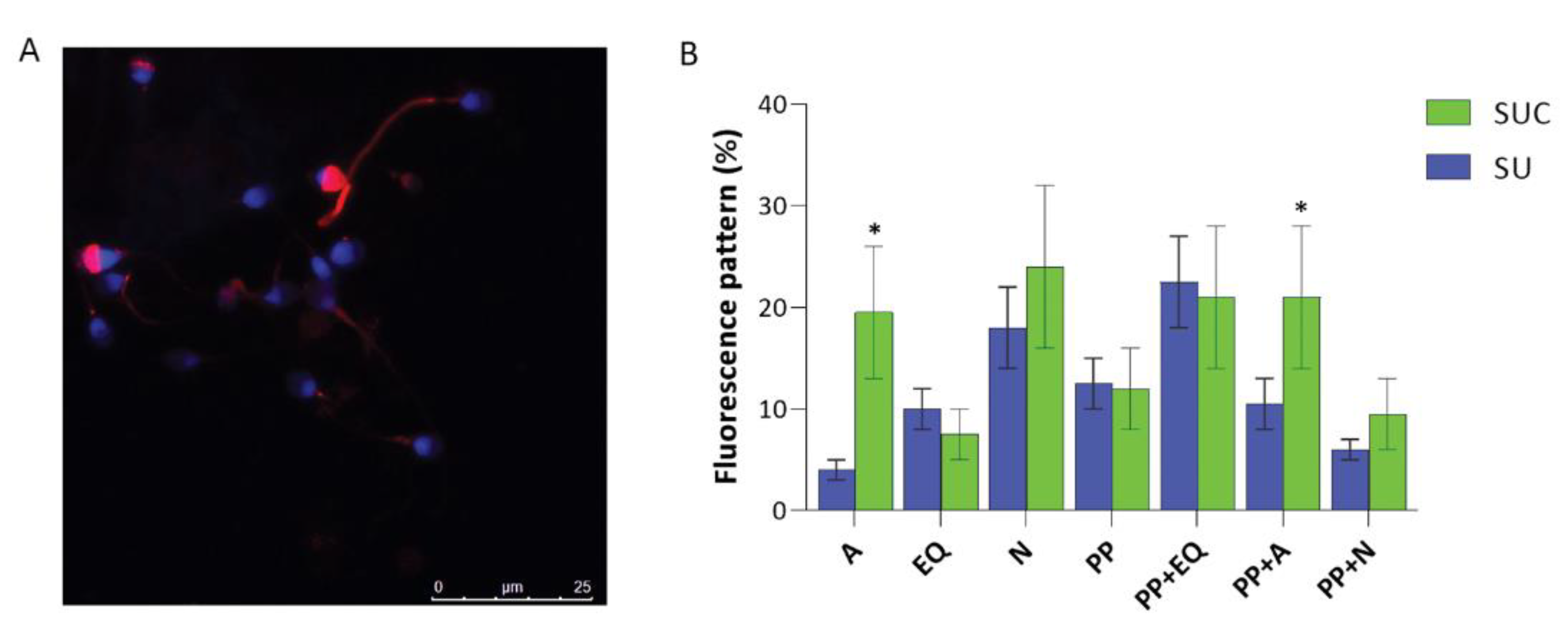 Preprints 83847 g004