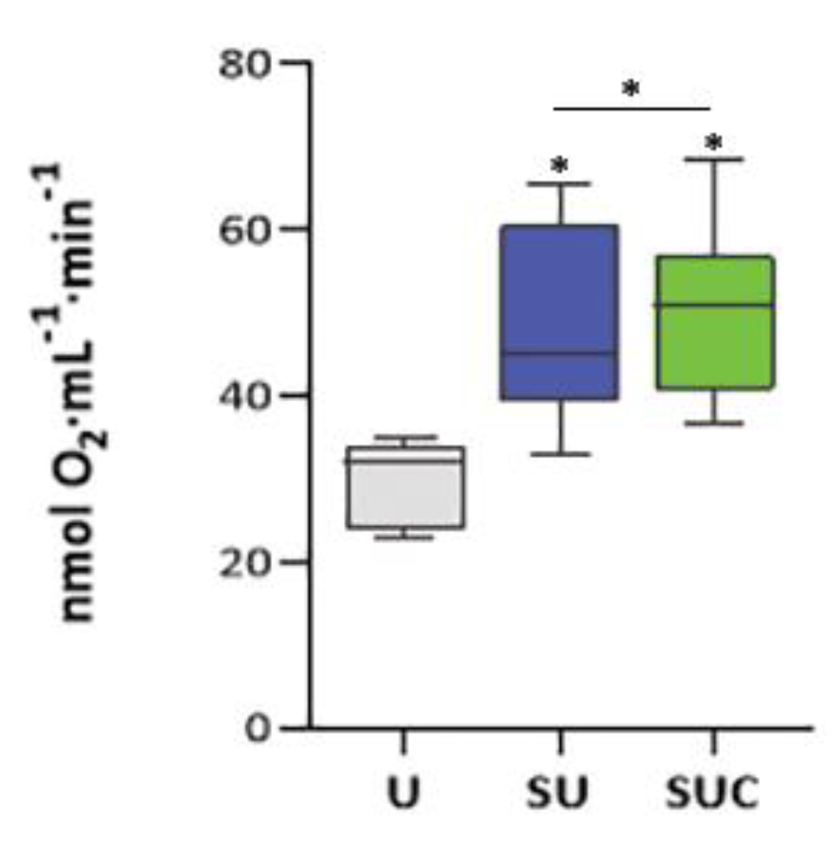 Preprints 83847 g005