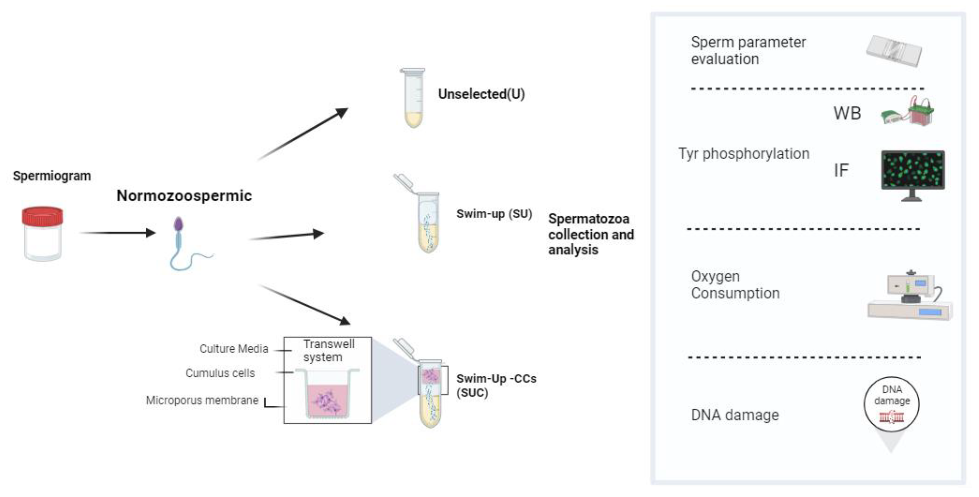 Preprints 83847 i001