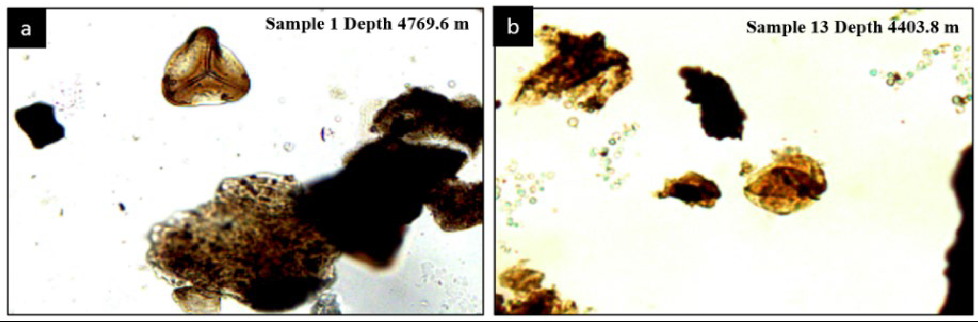 Preprints 106409 g010