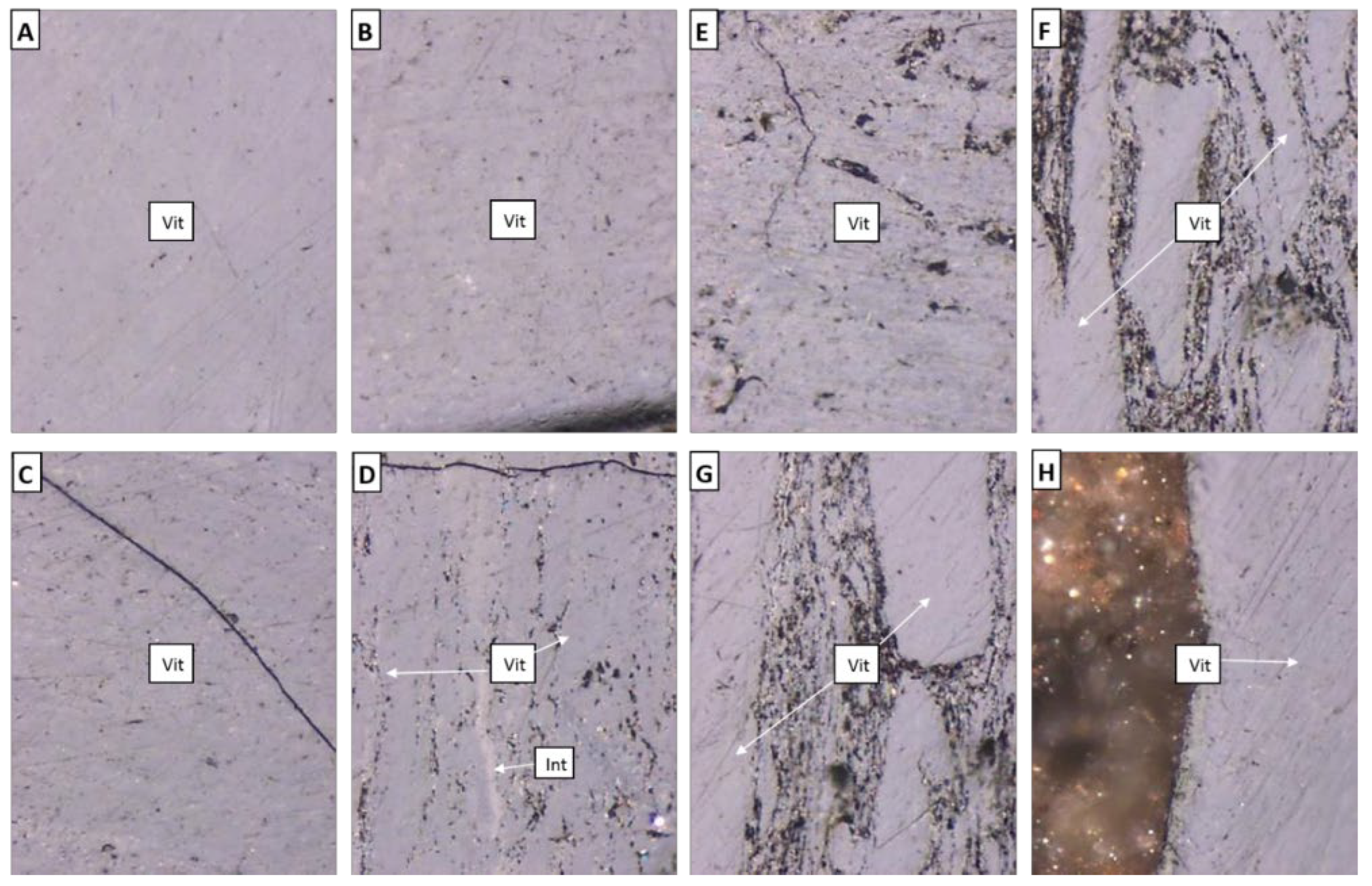 Preprints 106409 g011