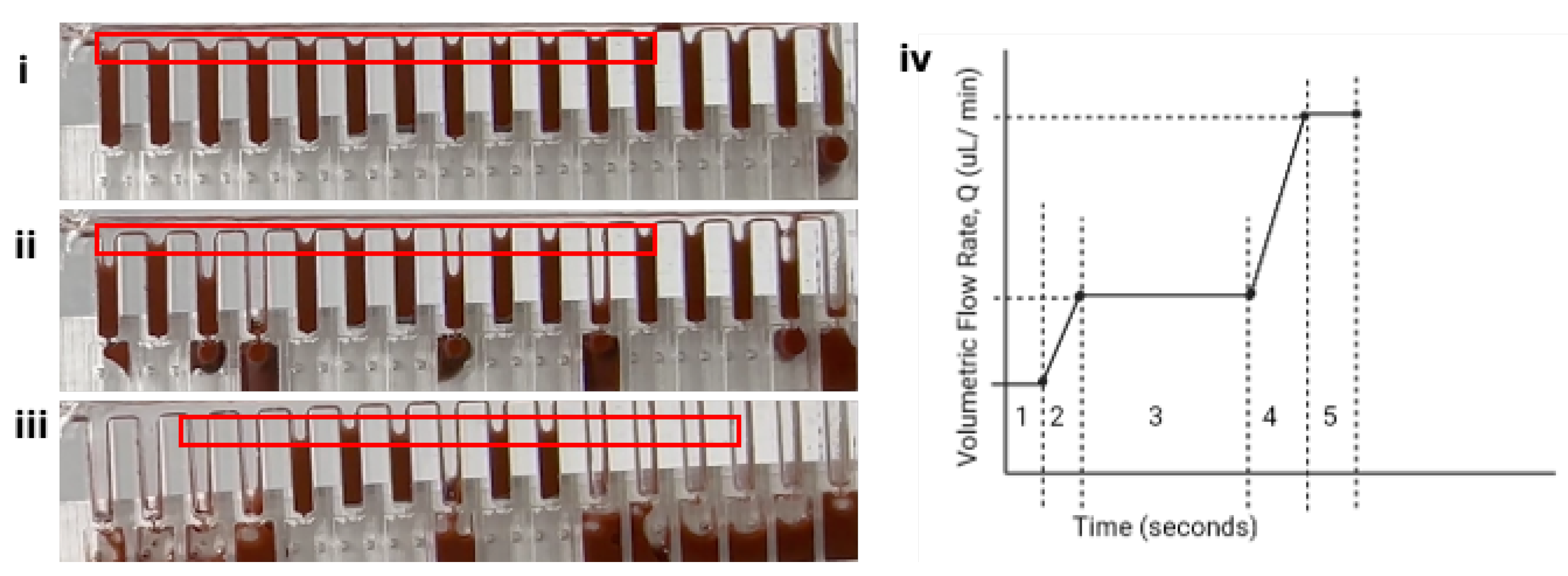 Preprints 114716 g004