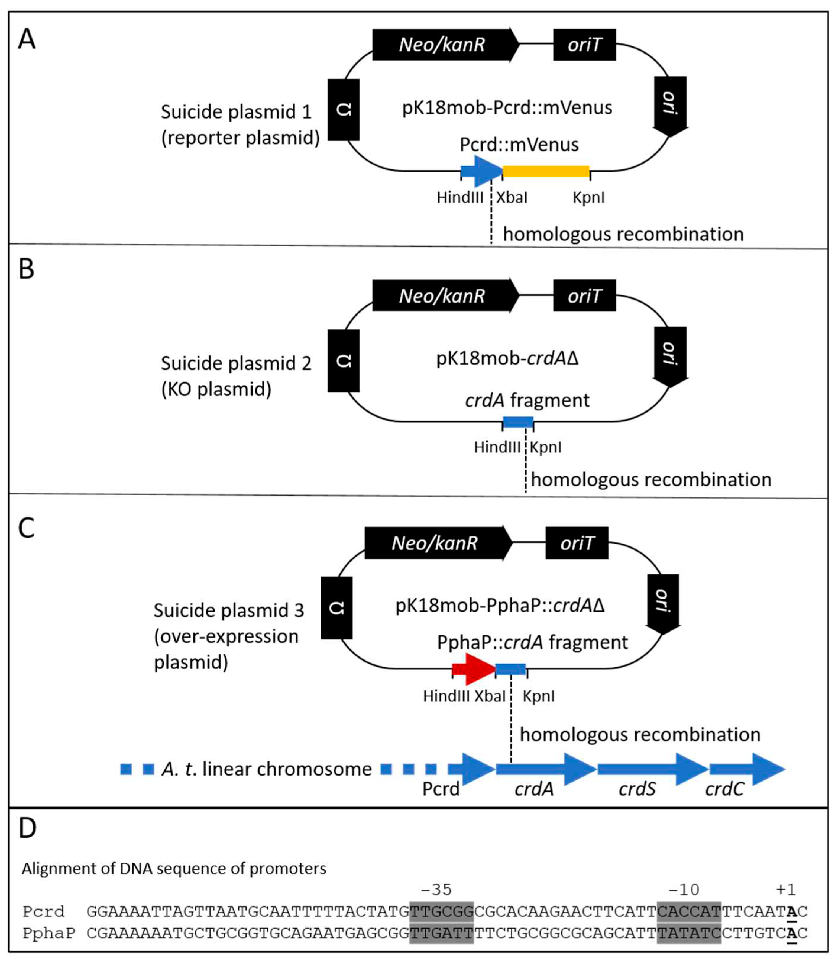 Preprints 91290 g001