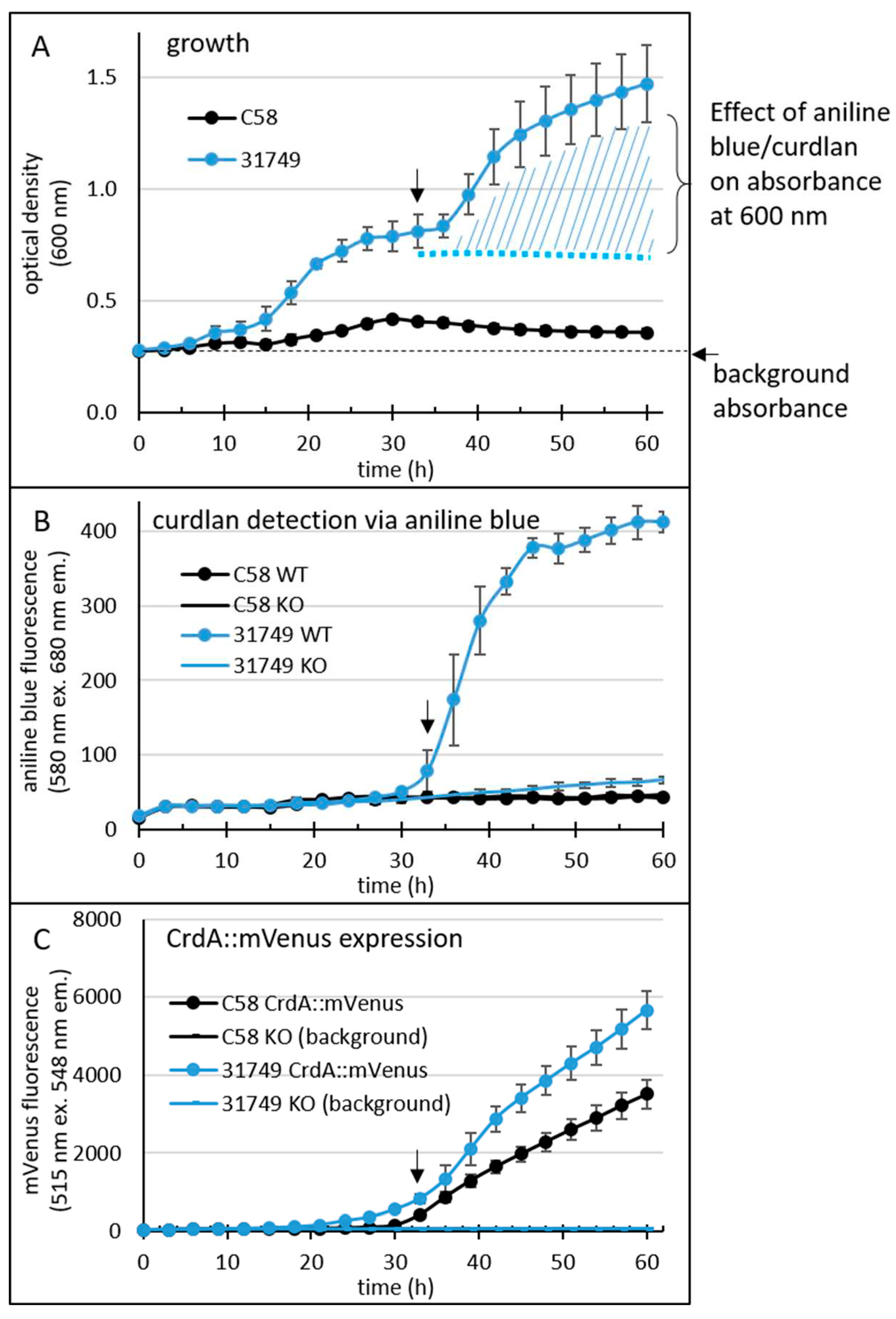 Preprints 91290 g003