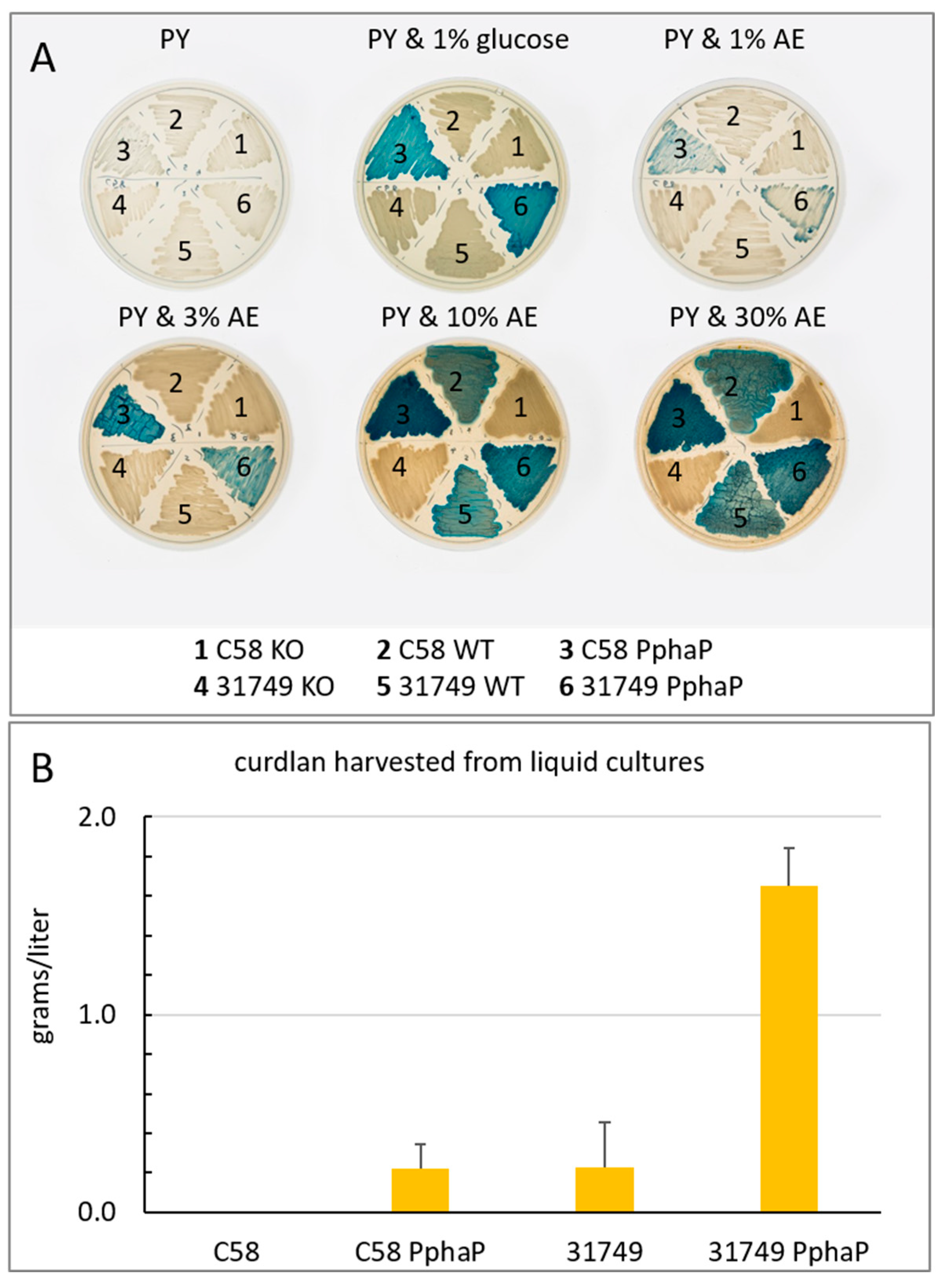 Preprints 91290 g006