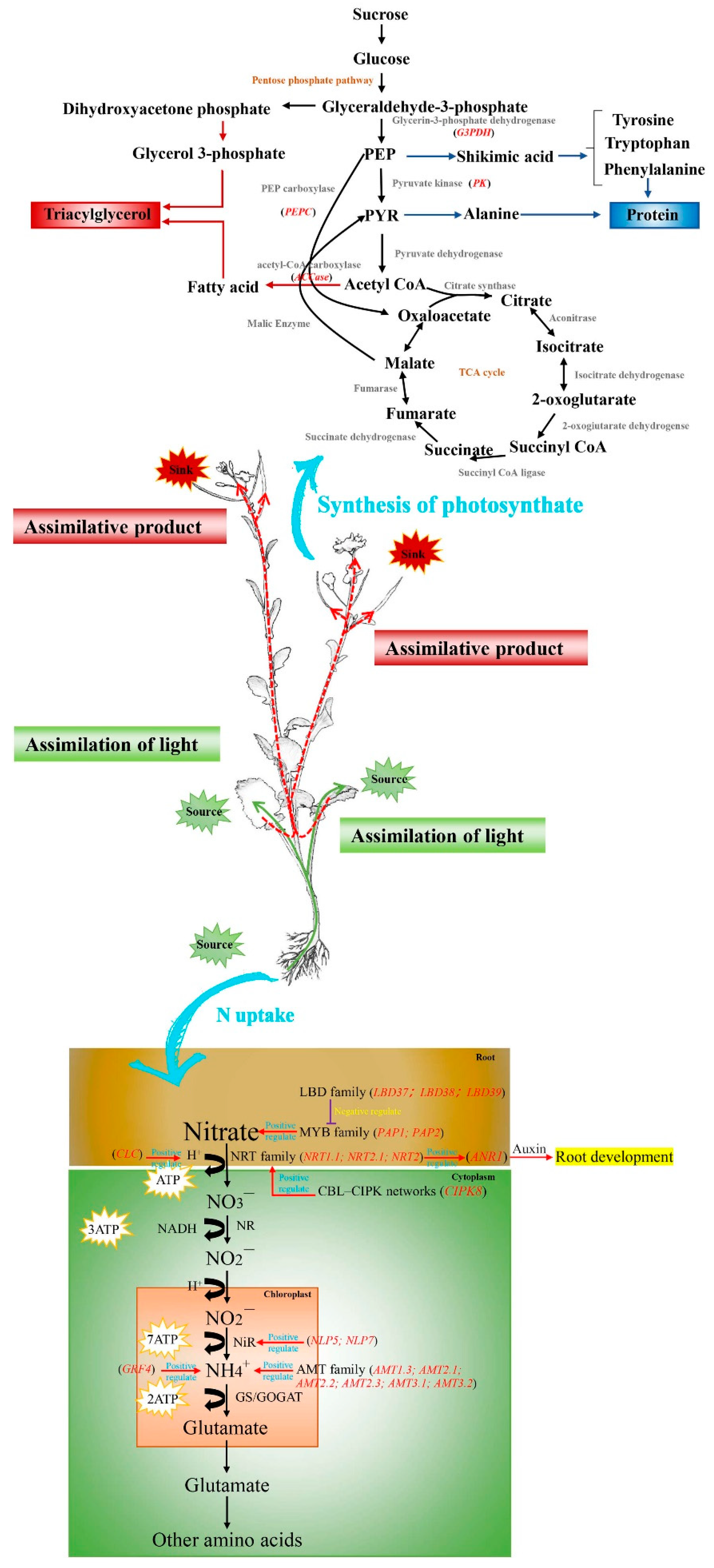 Preprints 83185 g001