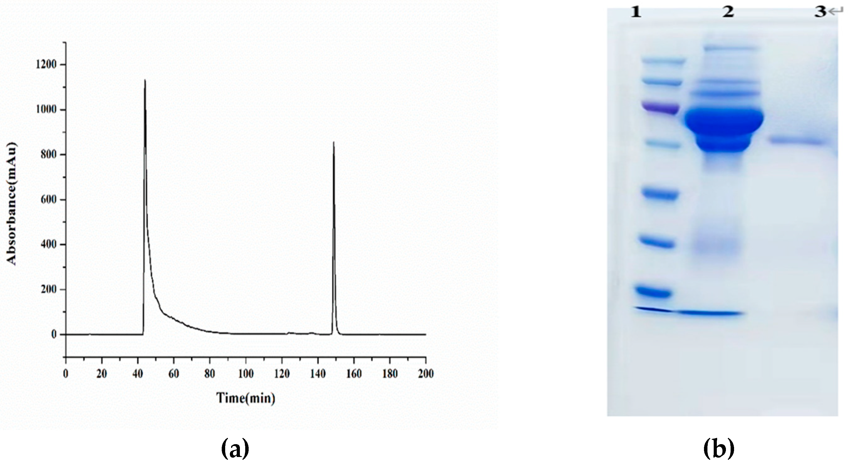 Preprints 86141 g001