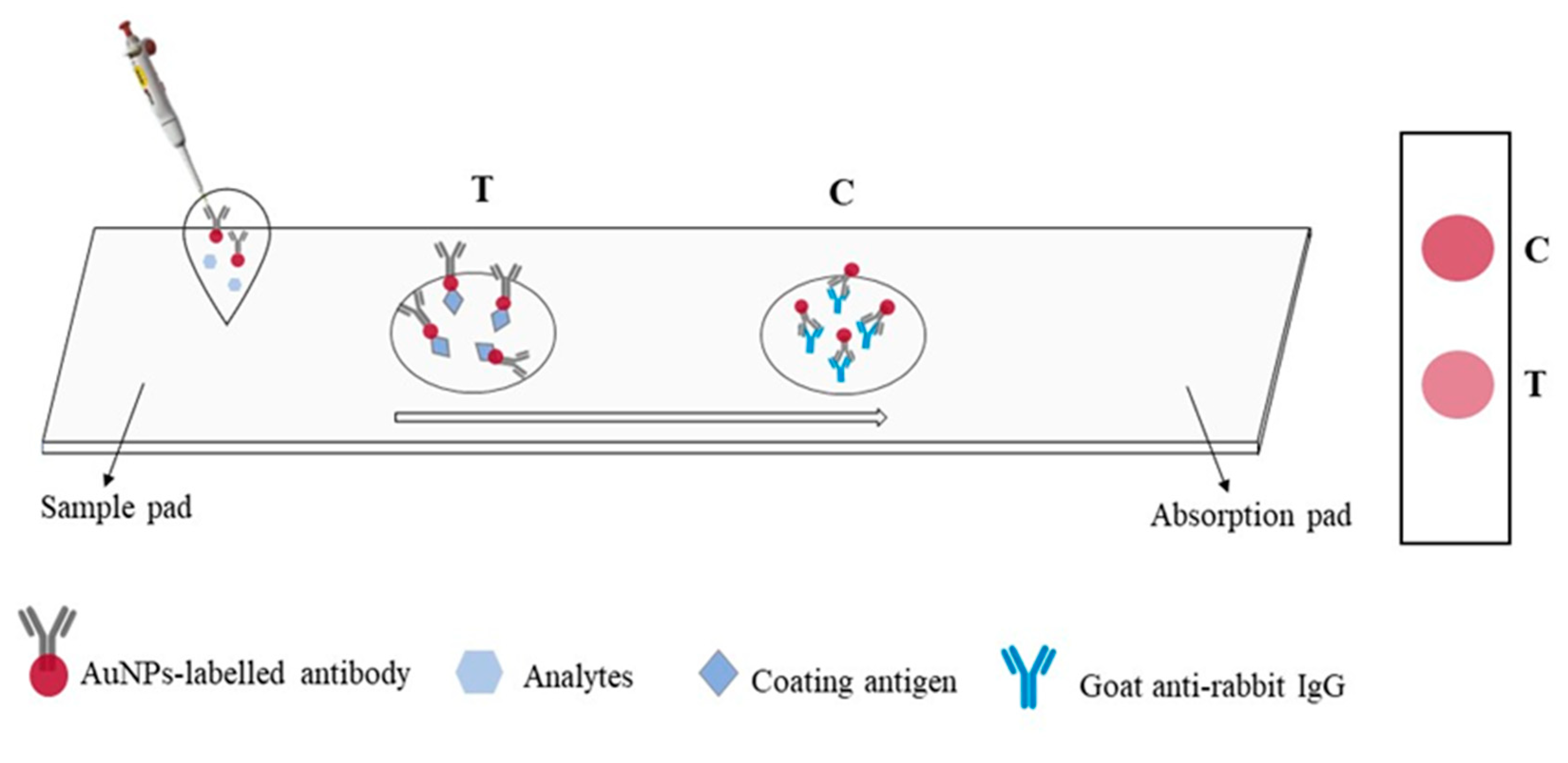 Preprints 86141 g005