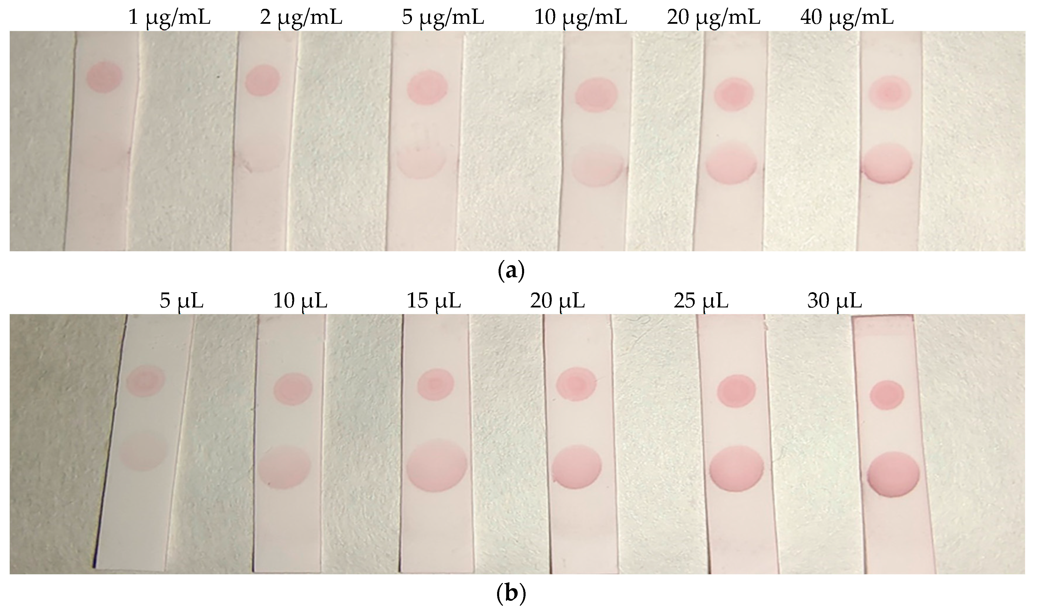 Preprints 86141 g006