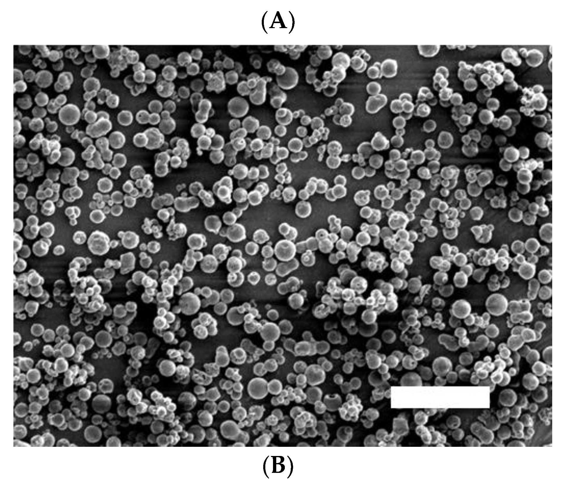 Preprints 121101 g002a