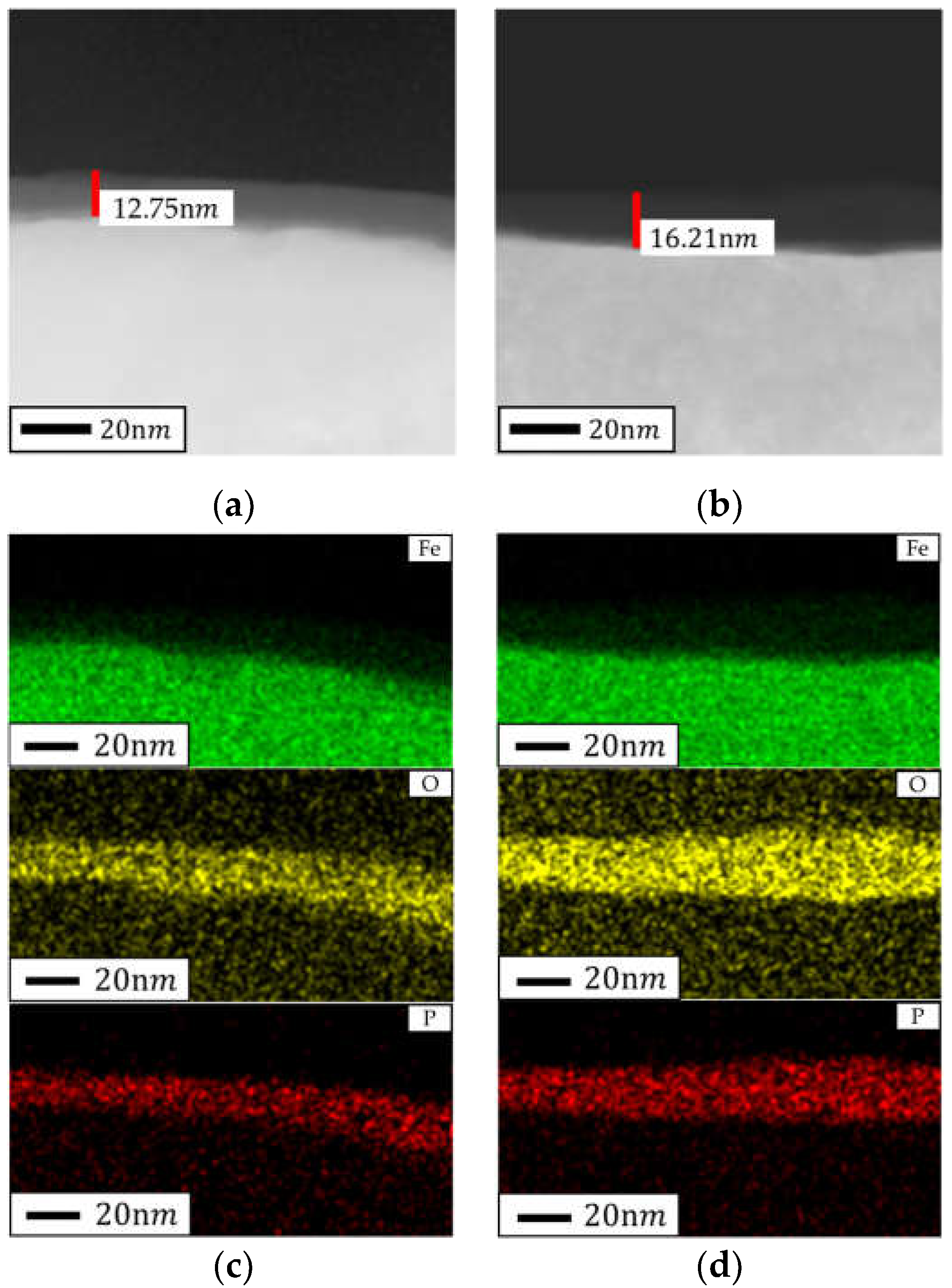 Preprints 117109 g005