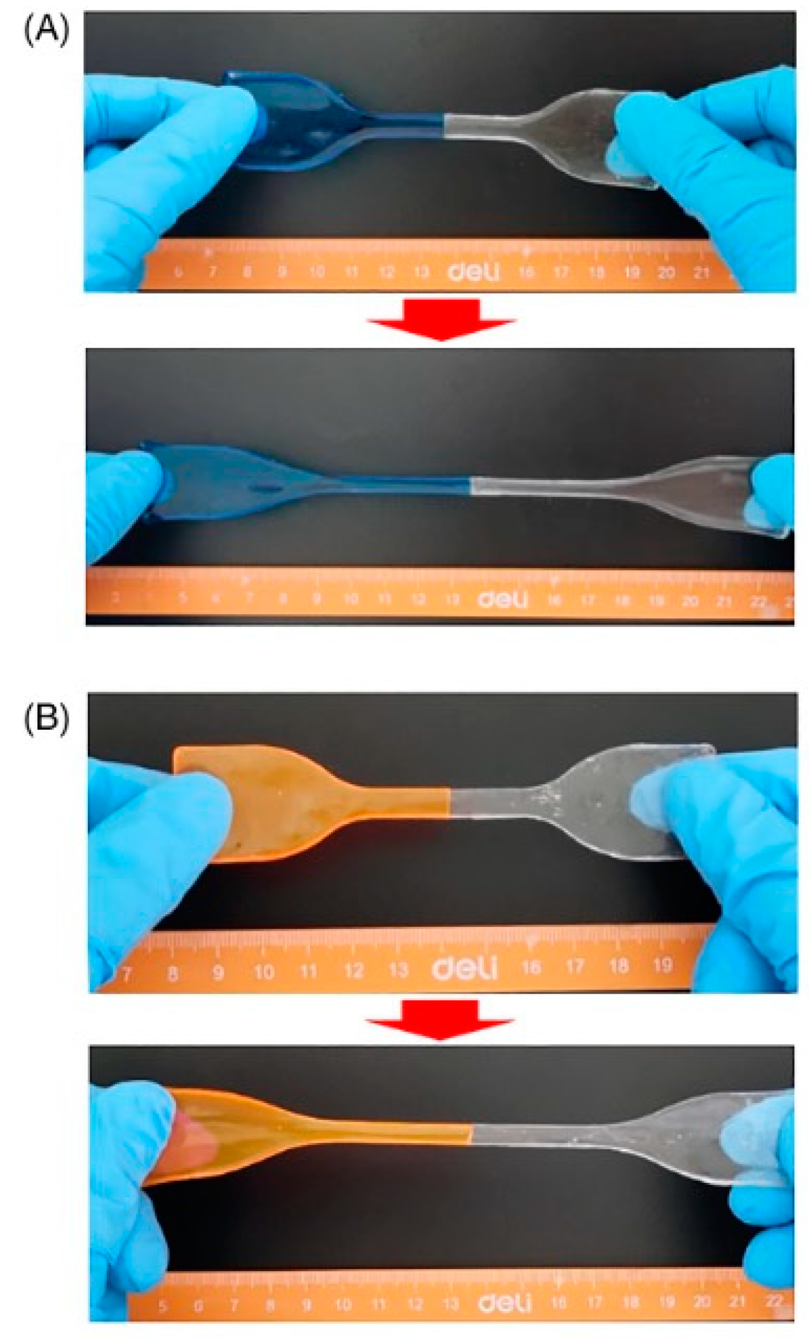 Preprints 83449 g017