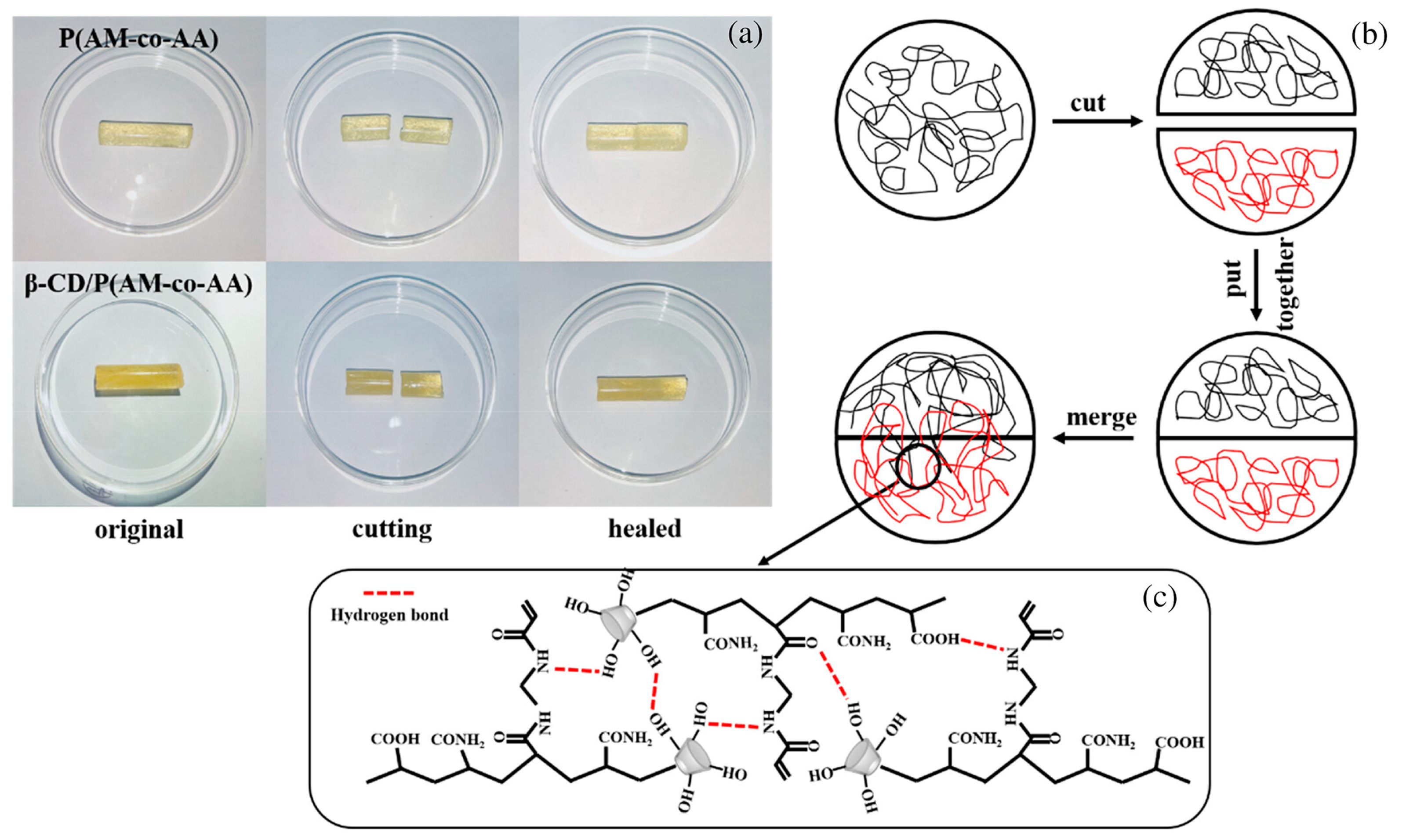 Preprints 83449 g021