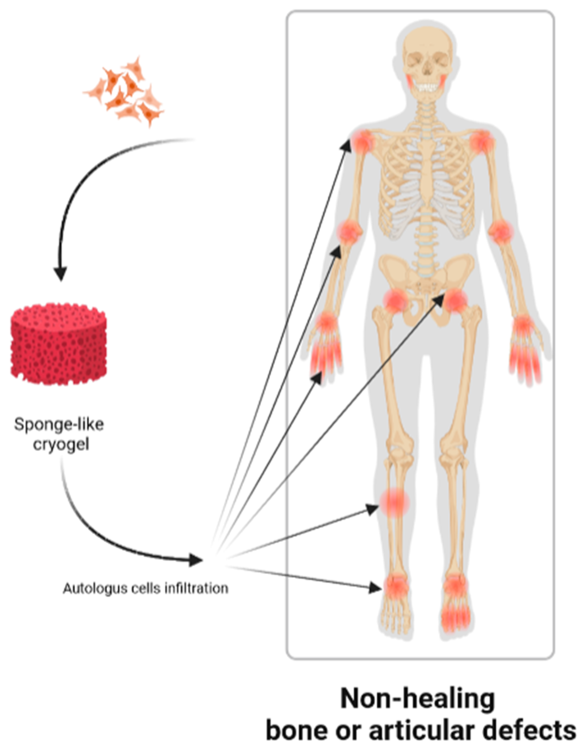 Preprints 90527 g001