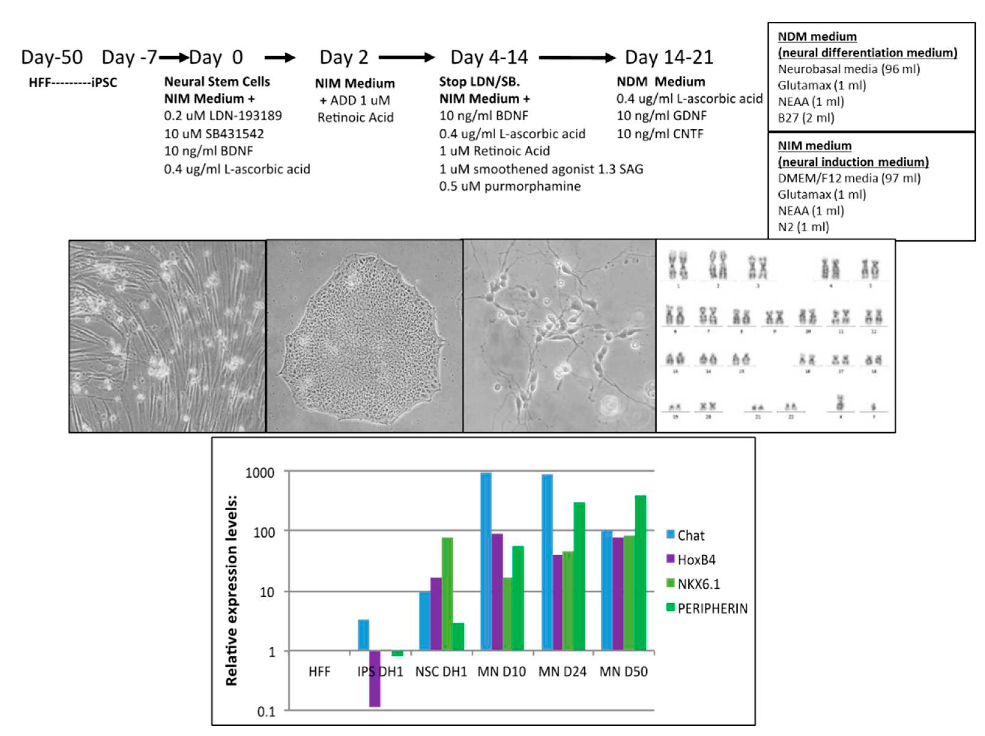 Preprints 87082 g002