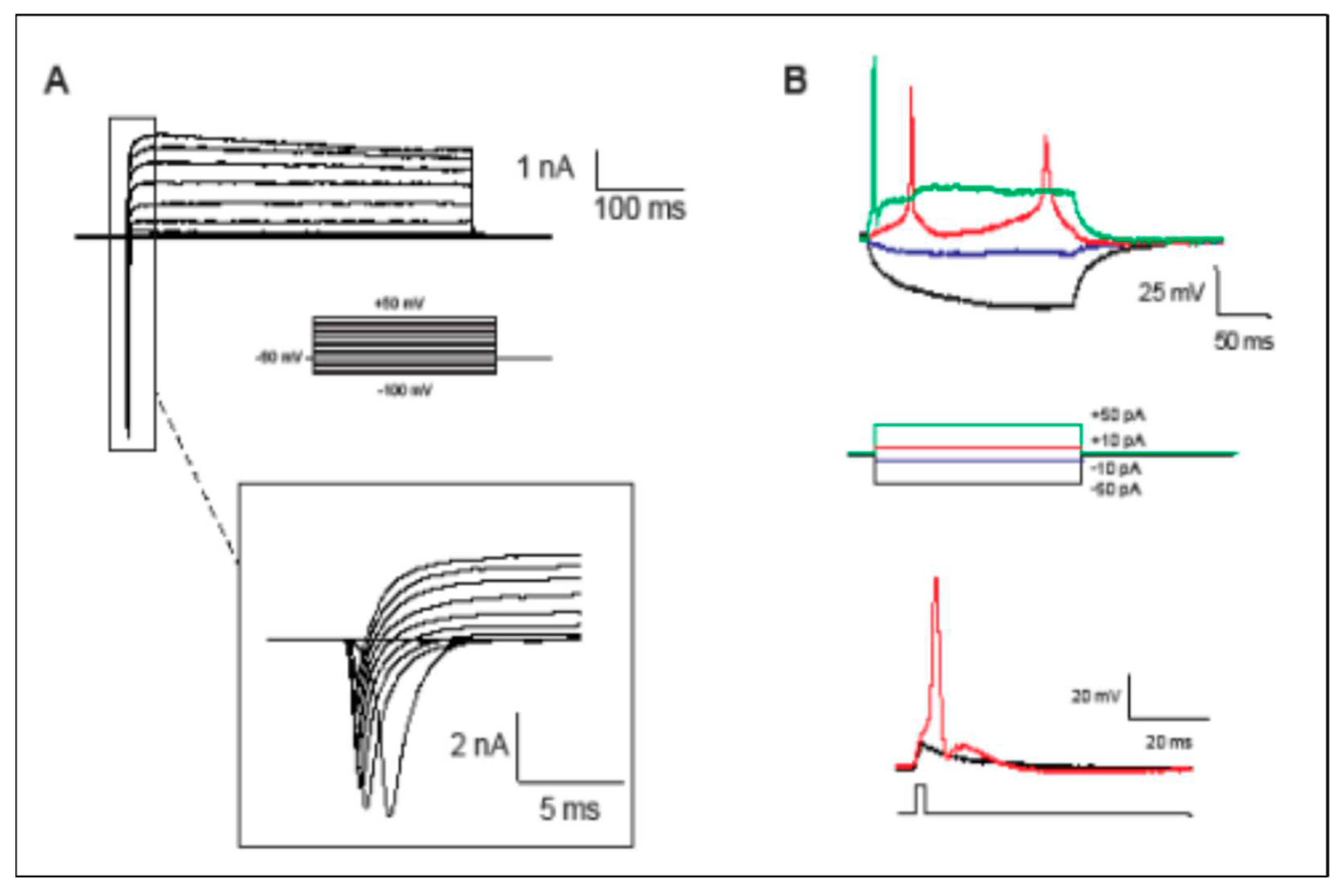 Preprints 87082 g003