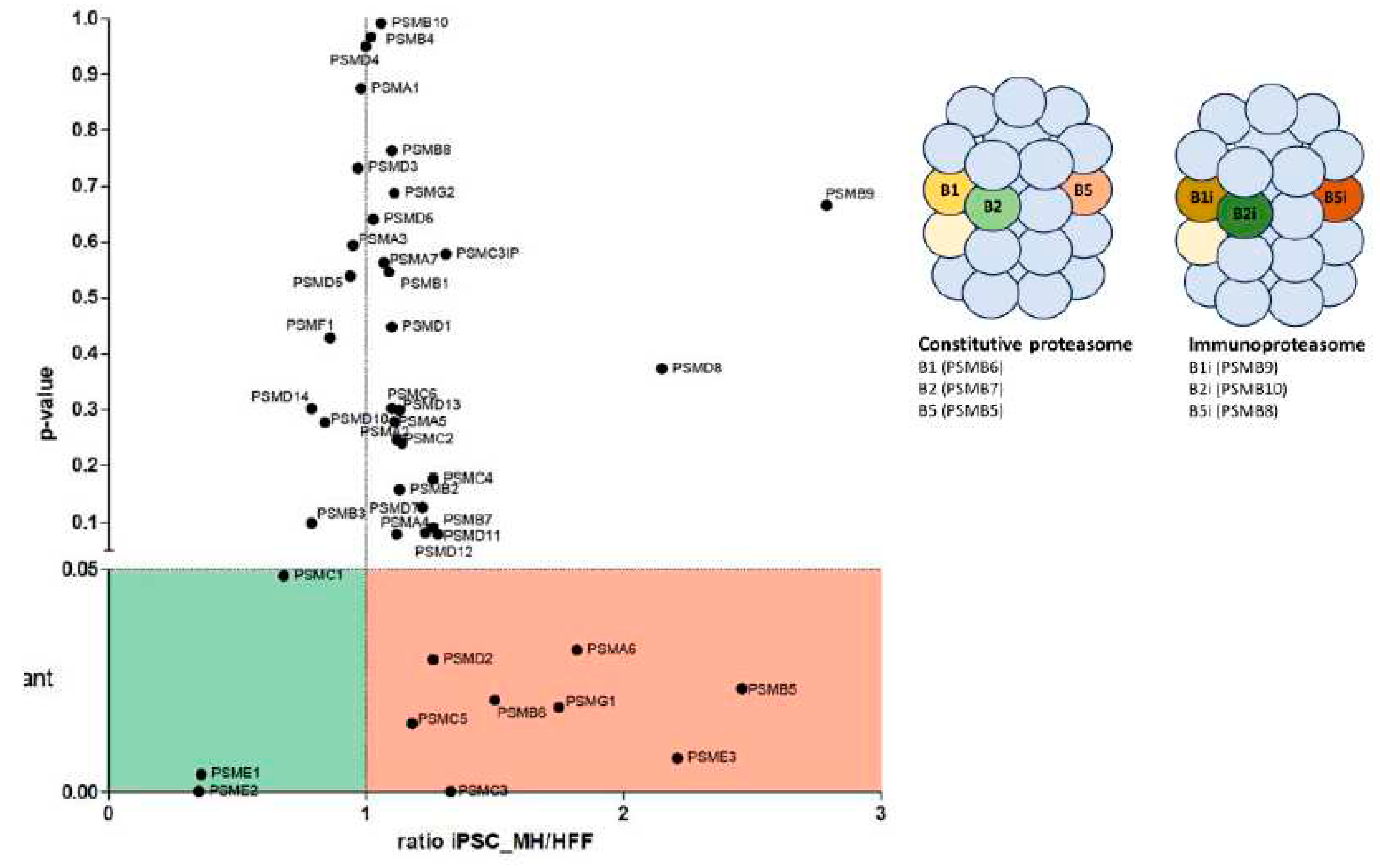 Preprints 87082 g005