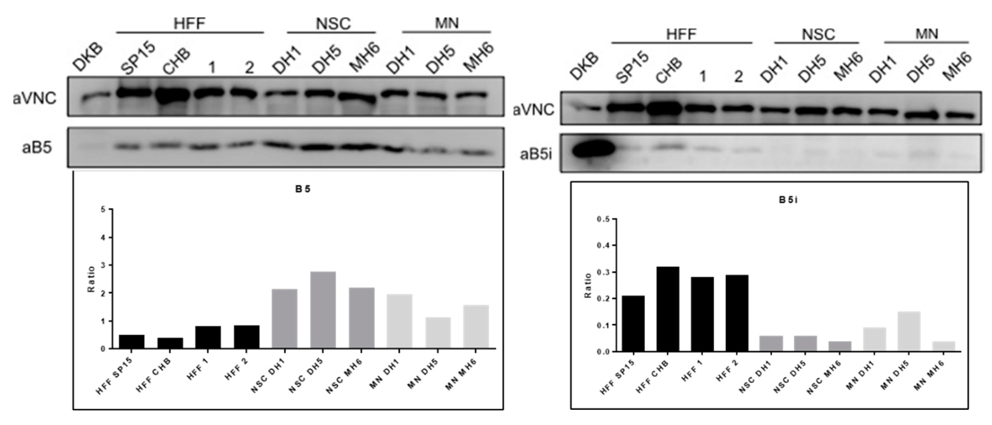 Preprints 87082 g006