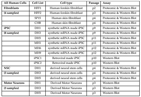 Preprints 87082 i001