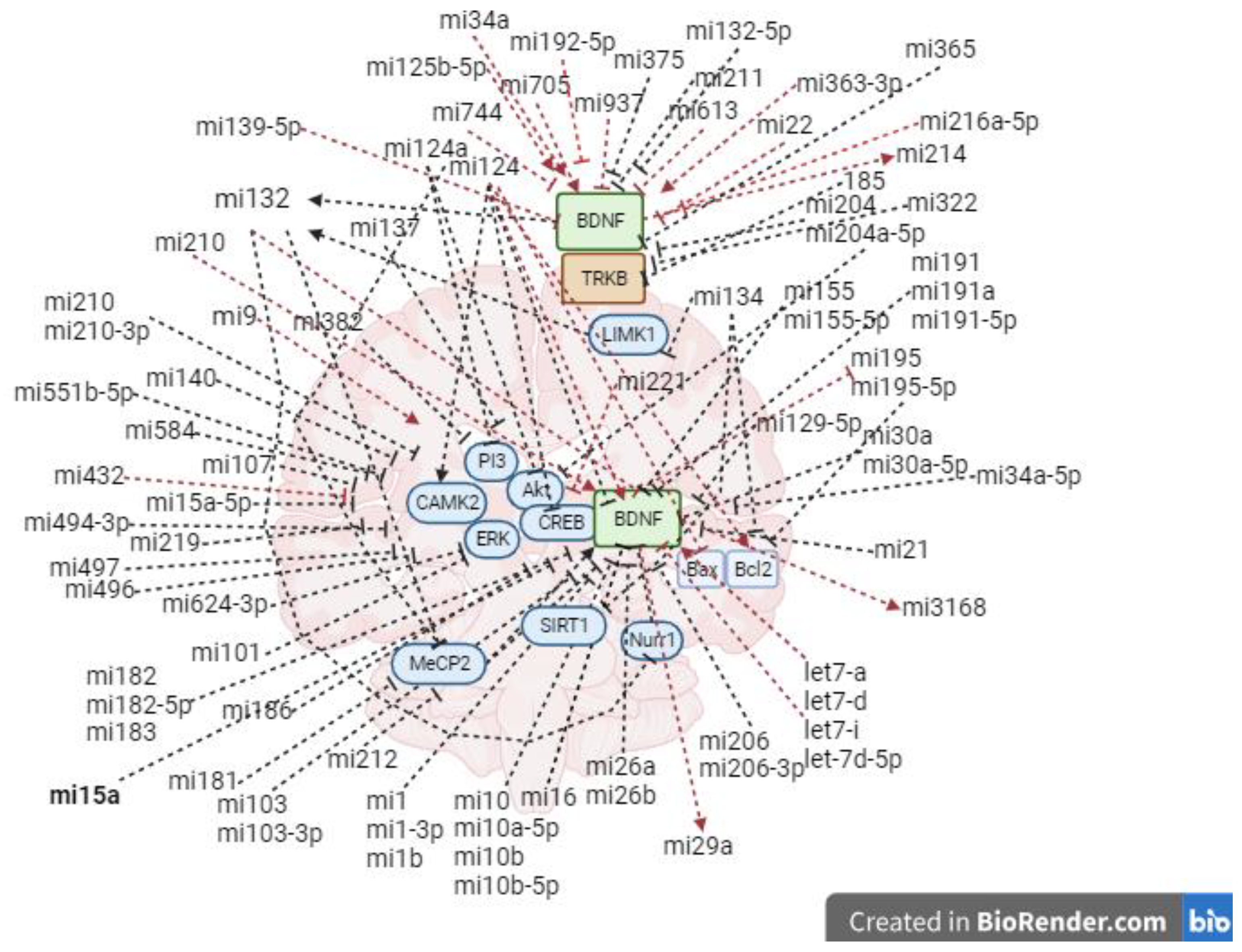 Preprints 102860 g002