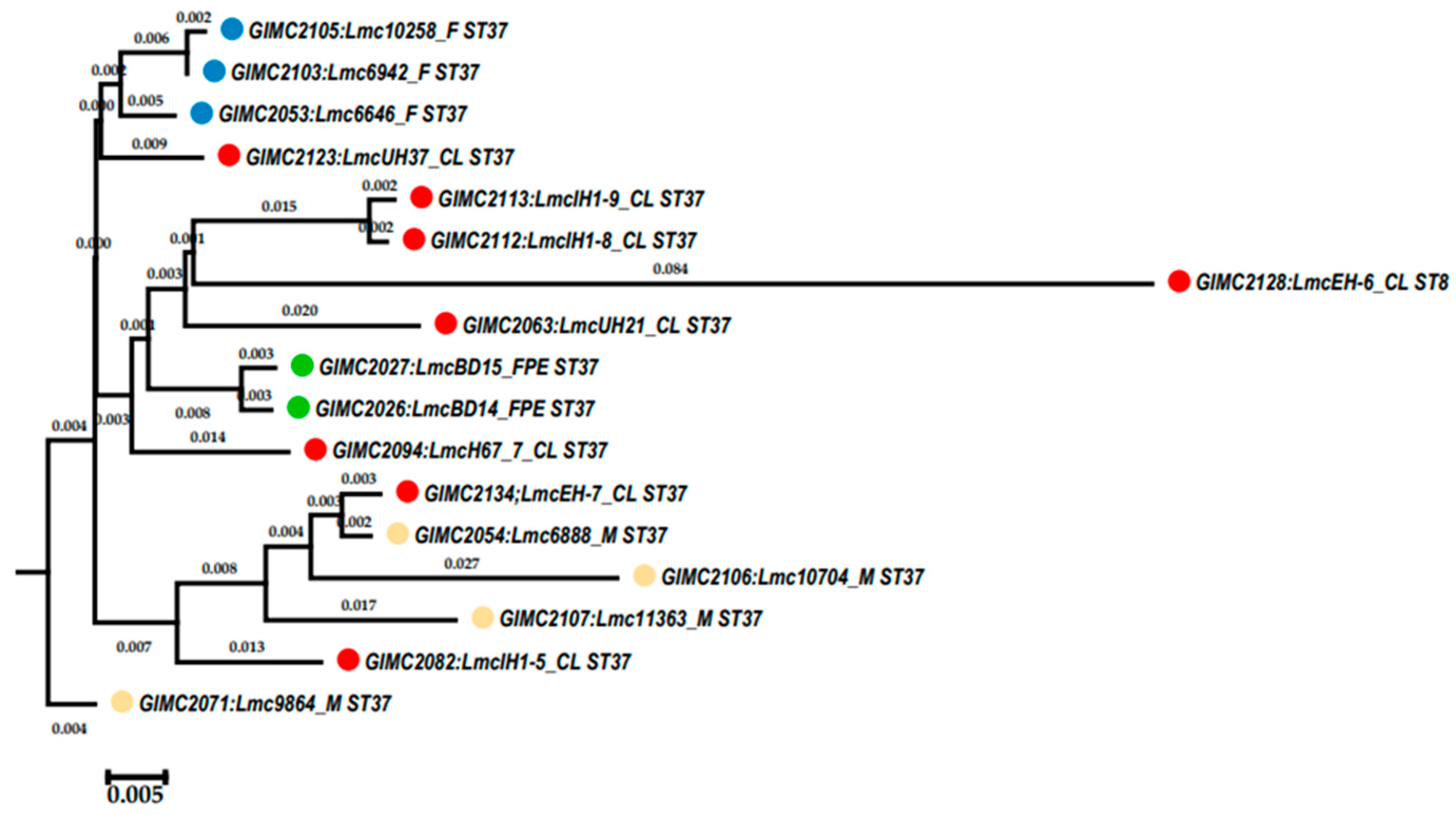 Preprints 85044 g005