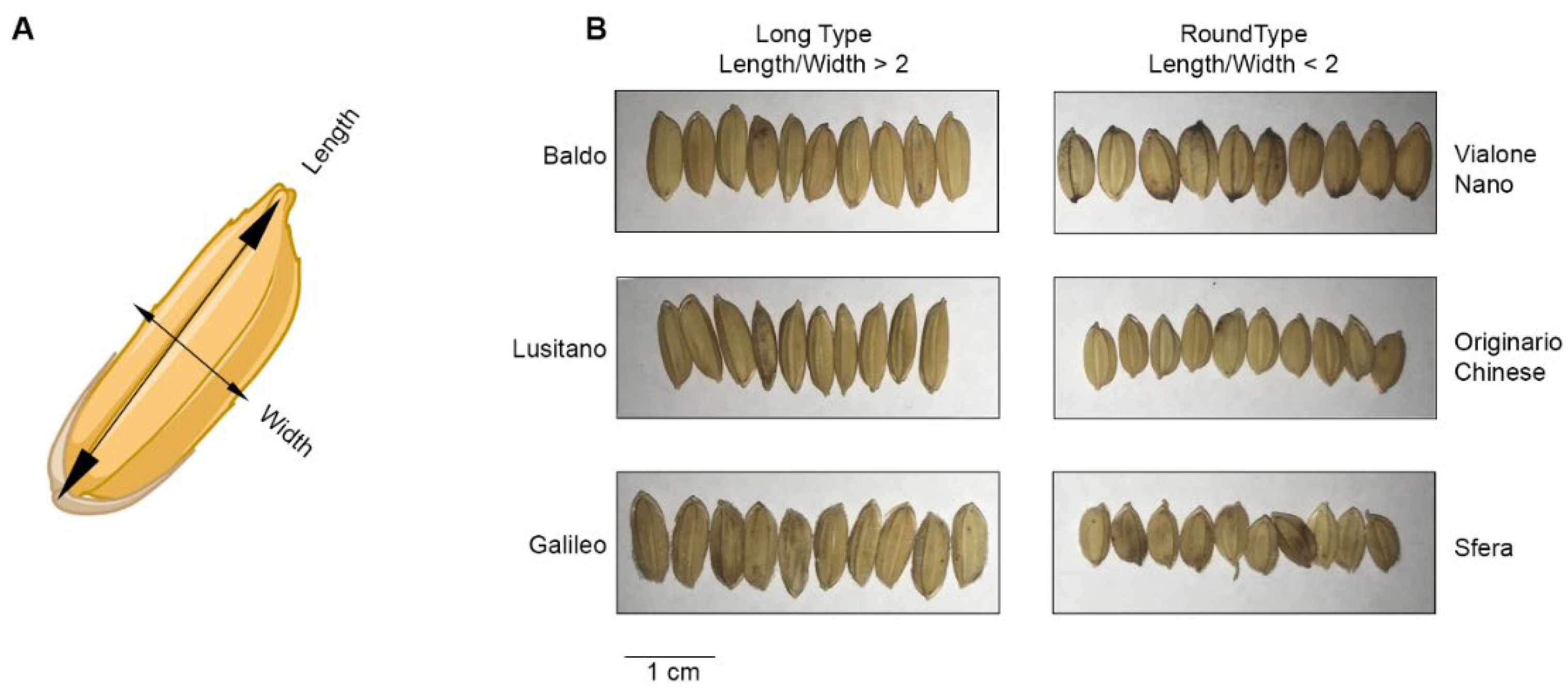 Preprints 109076 g002