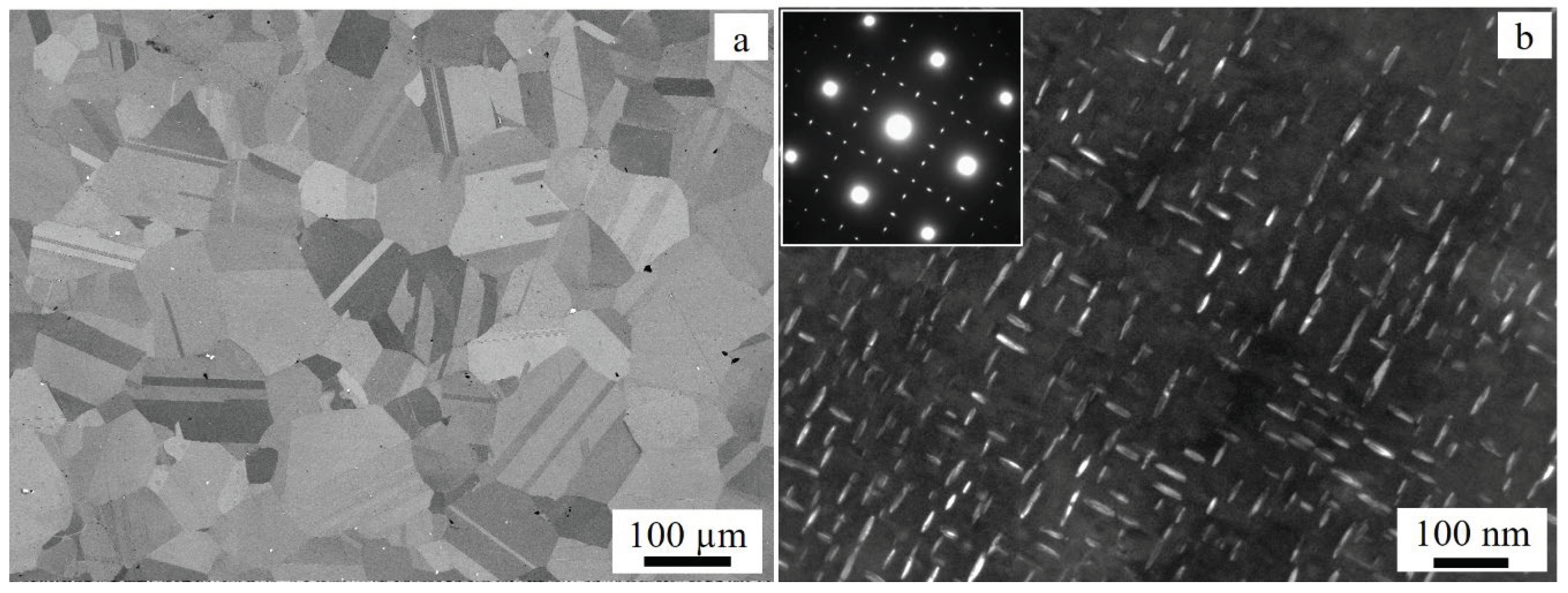 Preprints 100712 g001