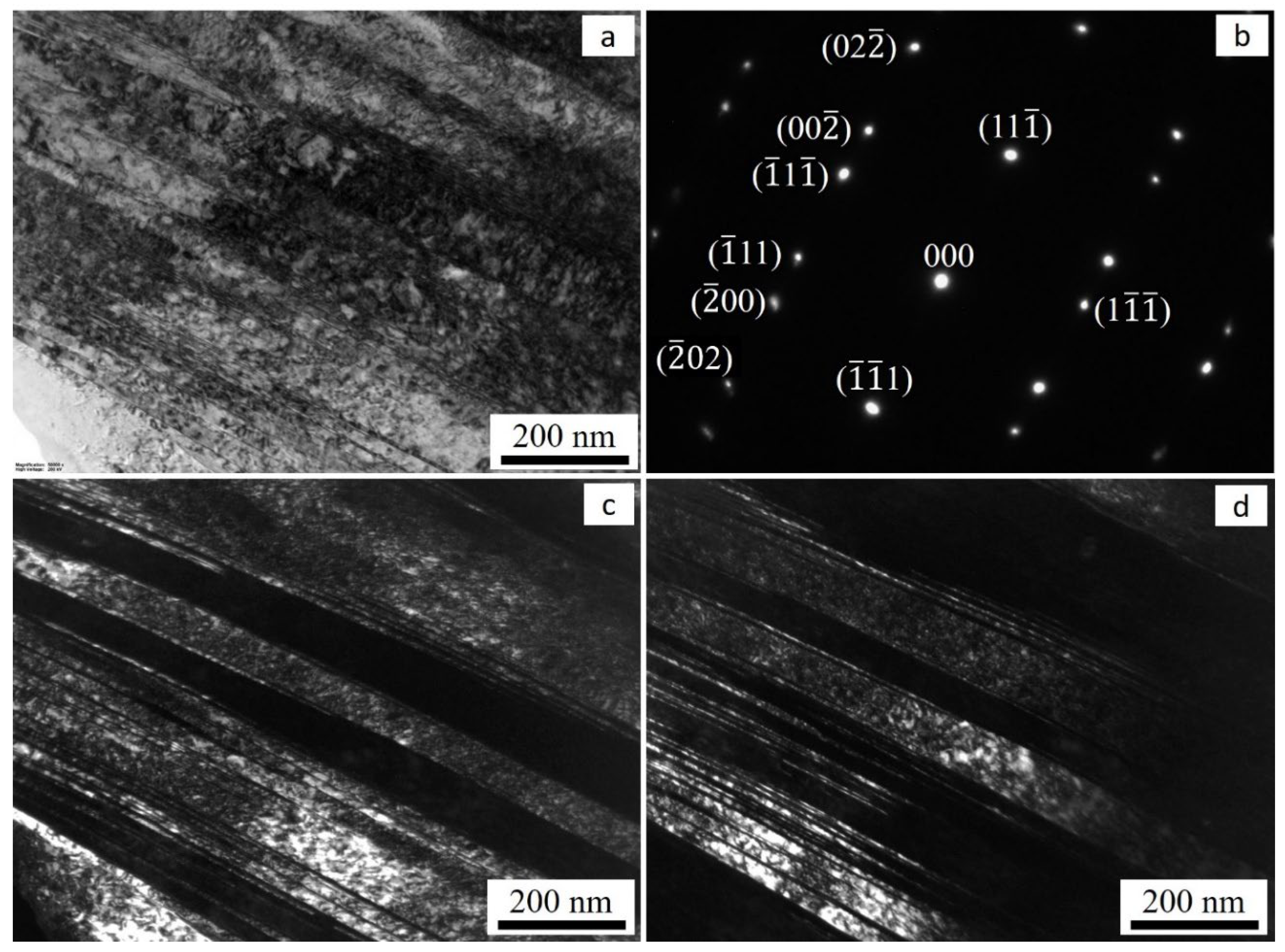 Preprints 100712 g017