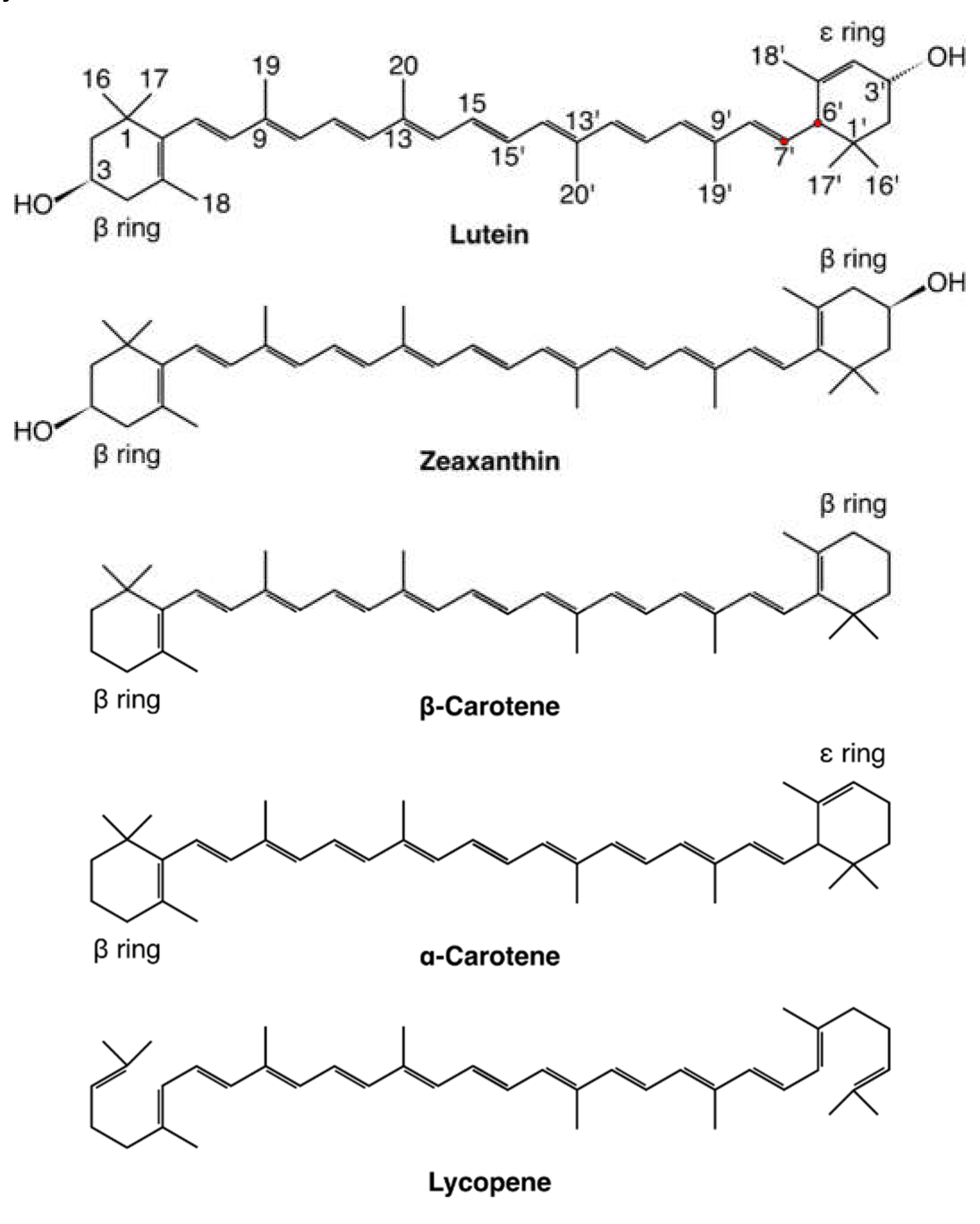 Preprints 110361 g001