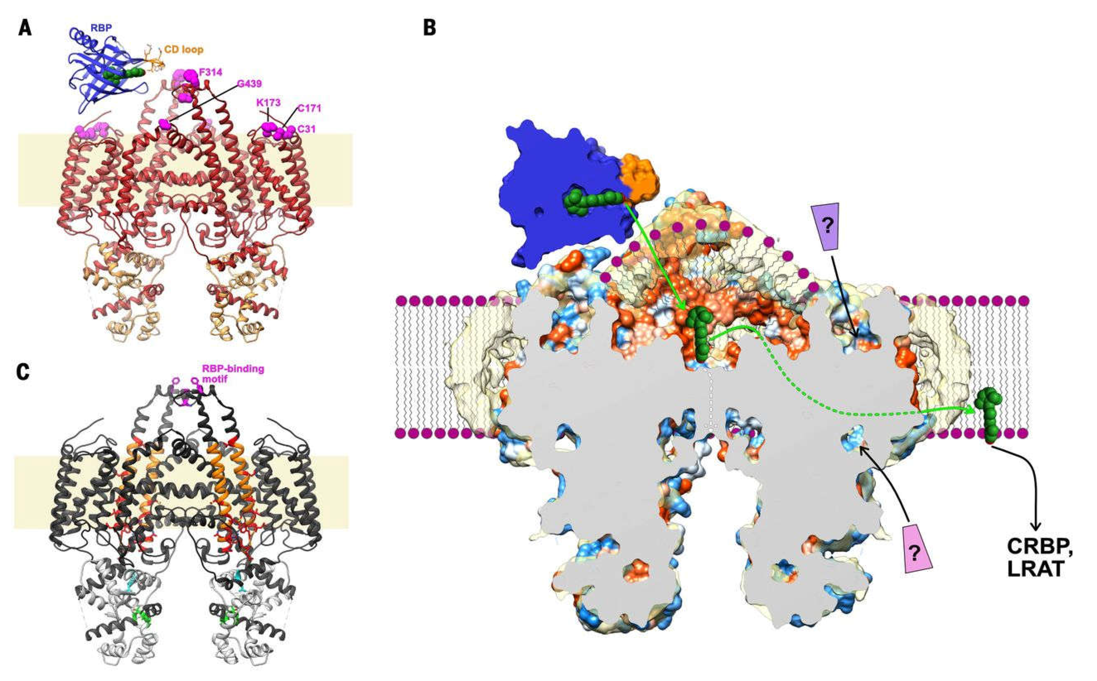 Preprints 110361 g003