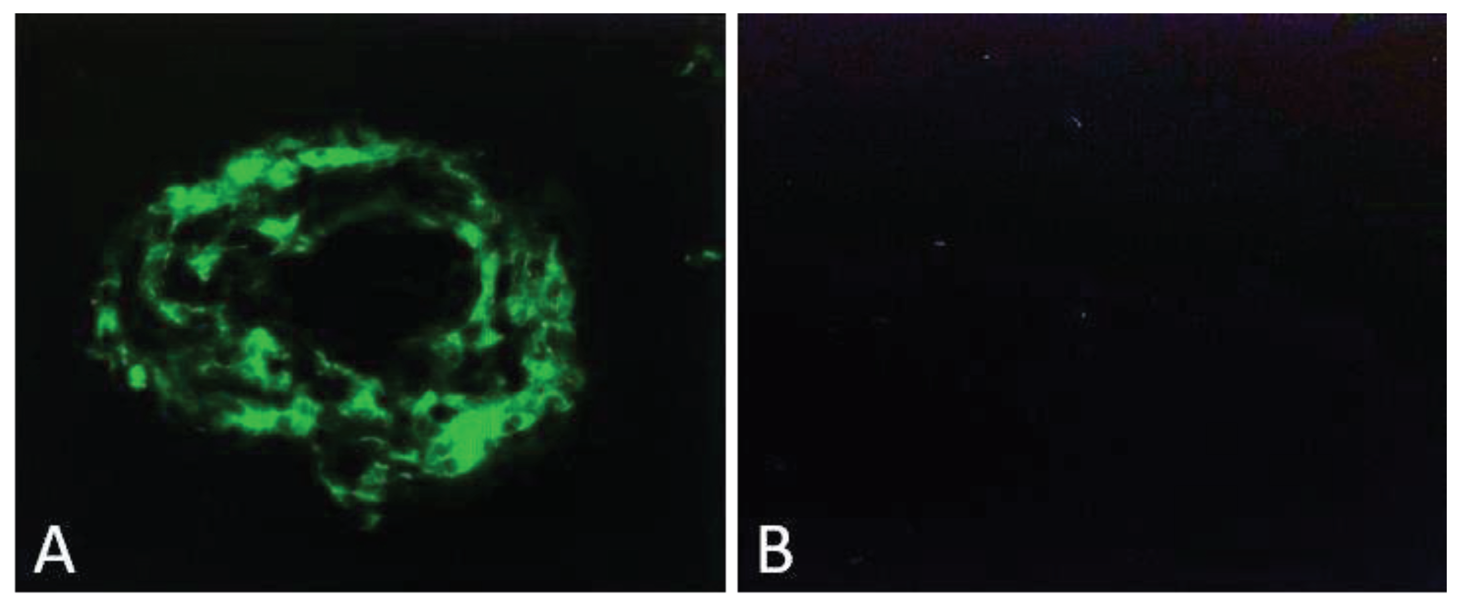 Preprints 84951 g002