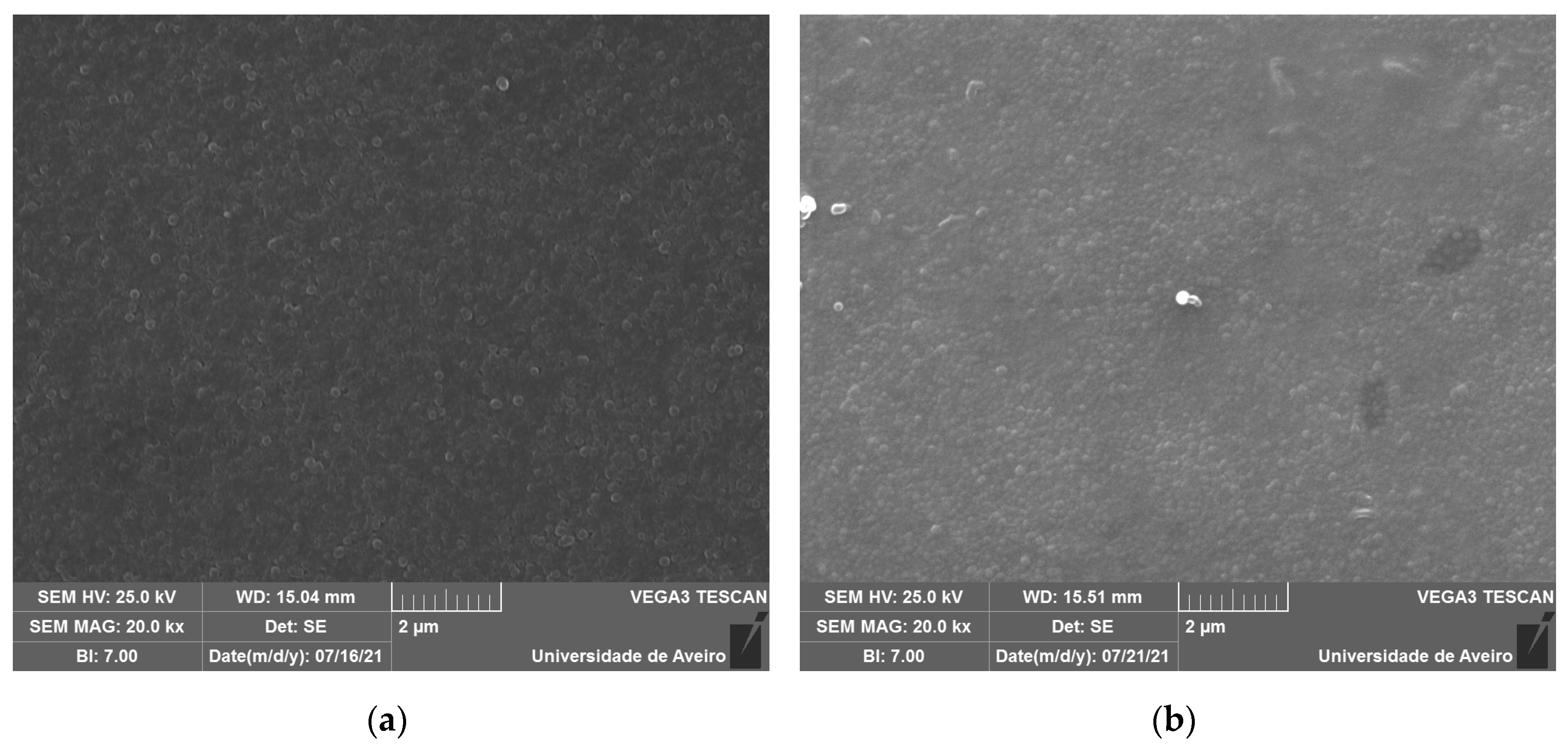 Preprints 100414 g005