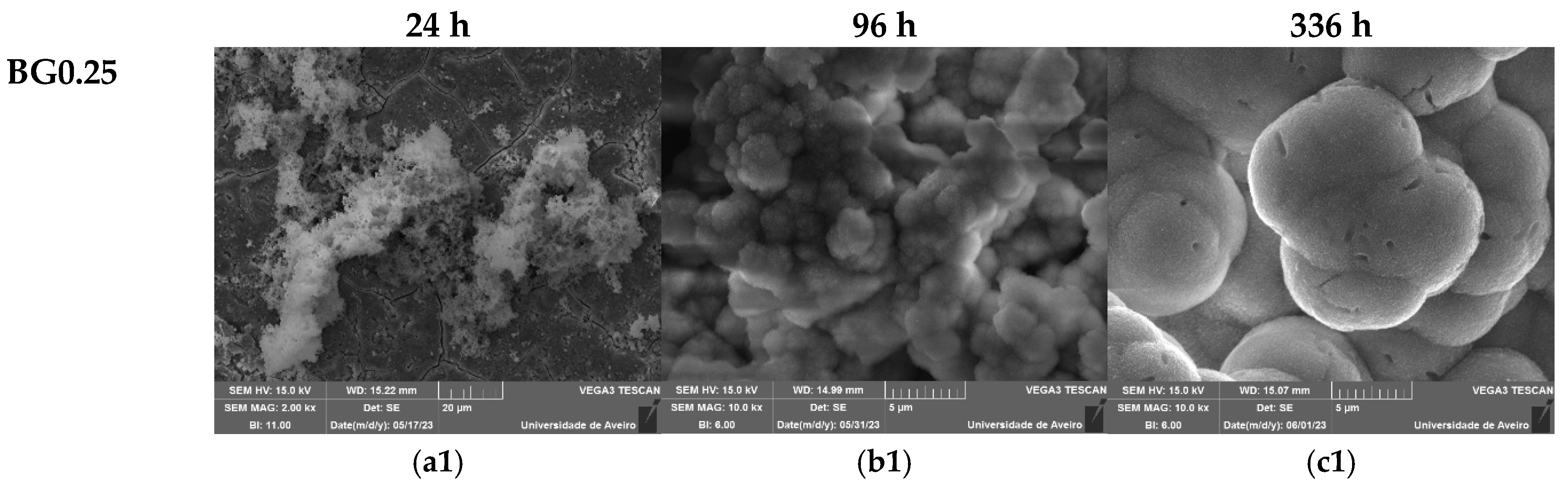 Preprints 100414 g009a