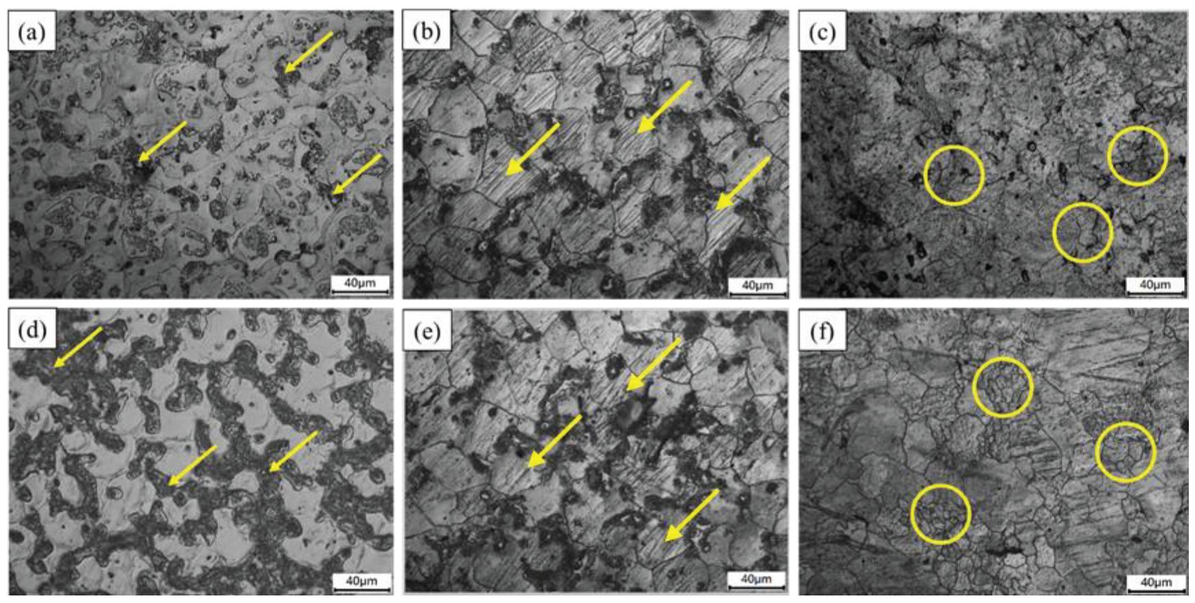 Preprints 100937 g004