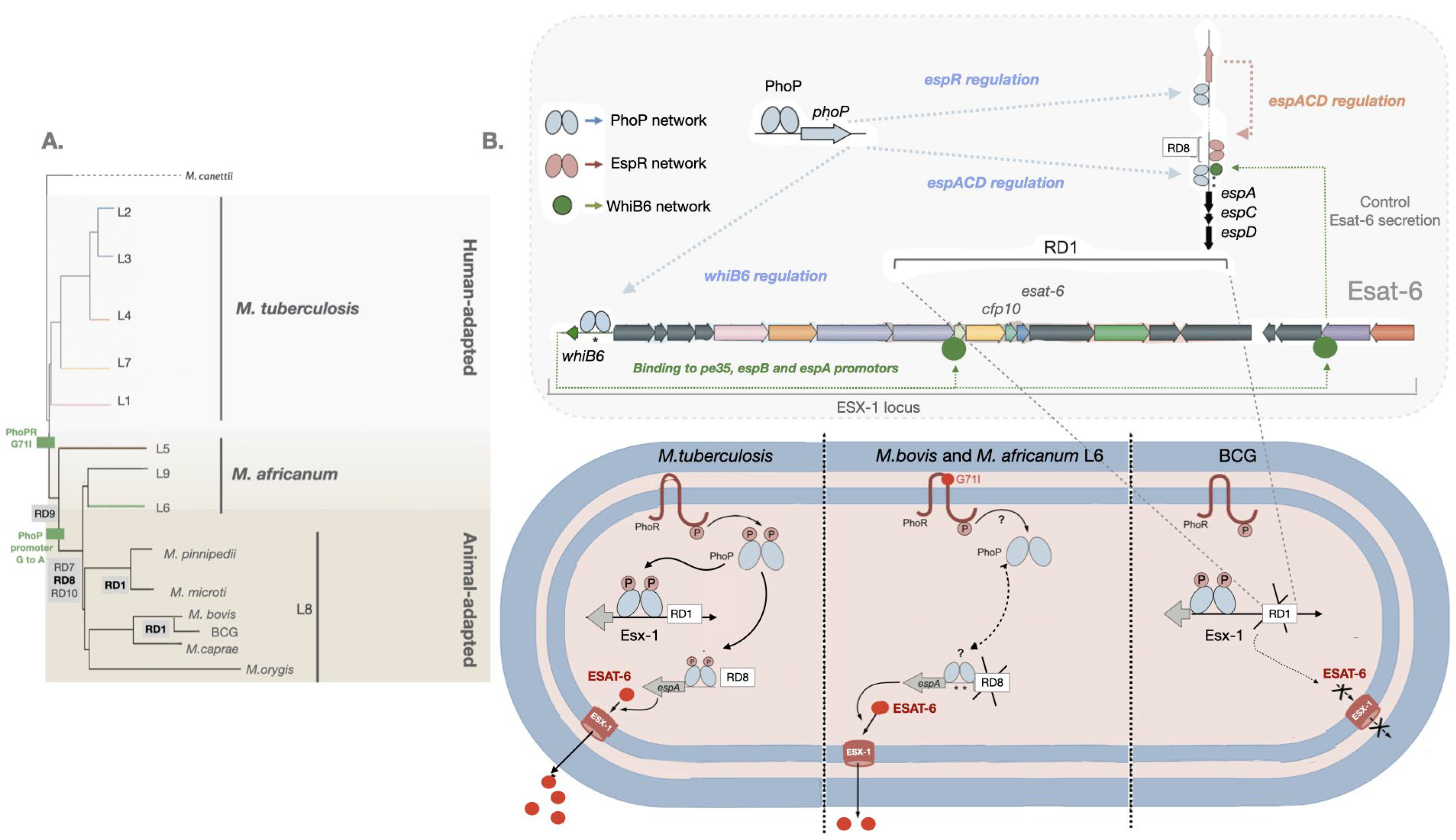 Preprints 76518 g001