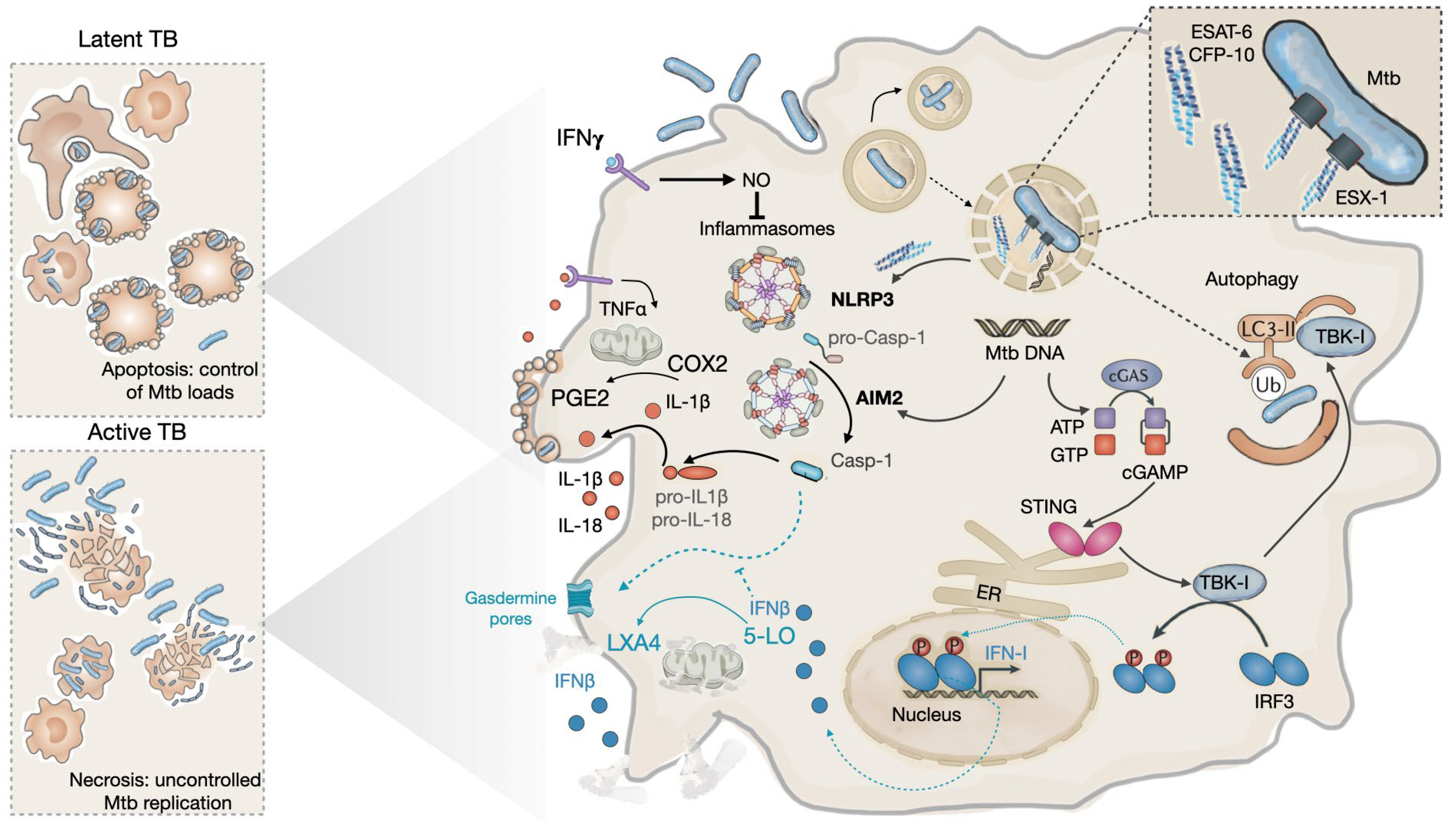 Preprints 76518 g002