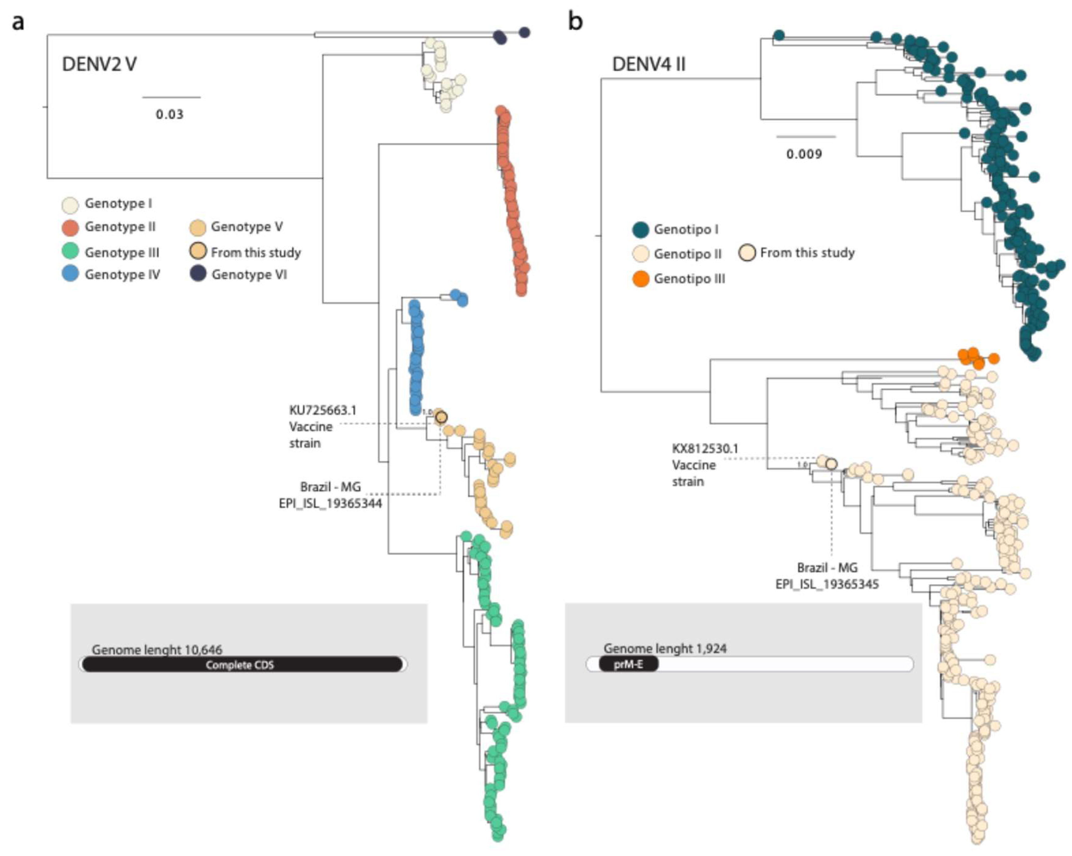 Preprints 118173 g001