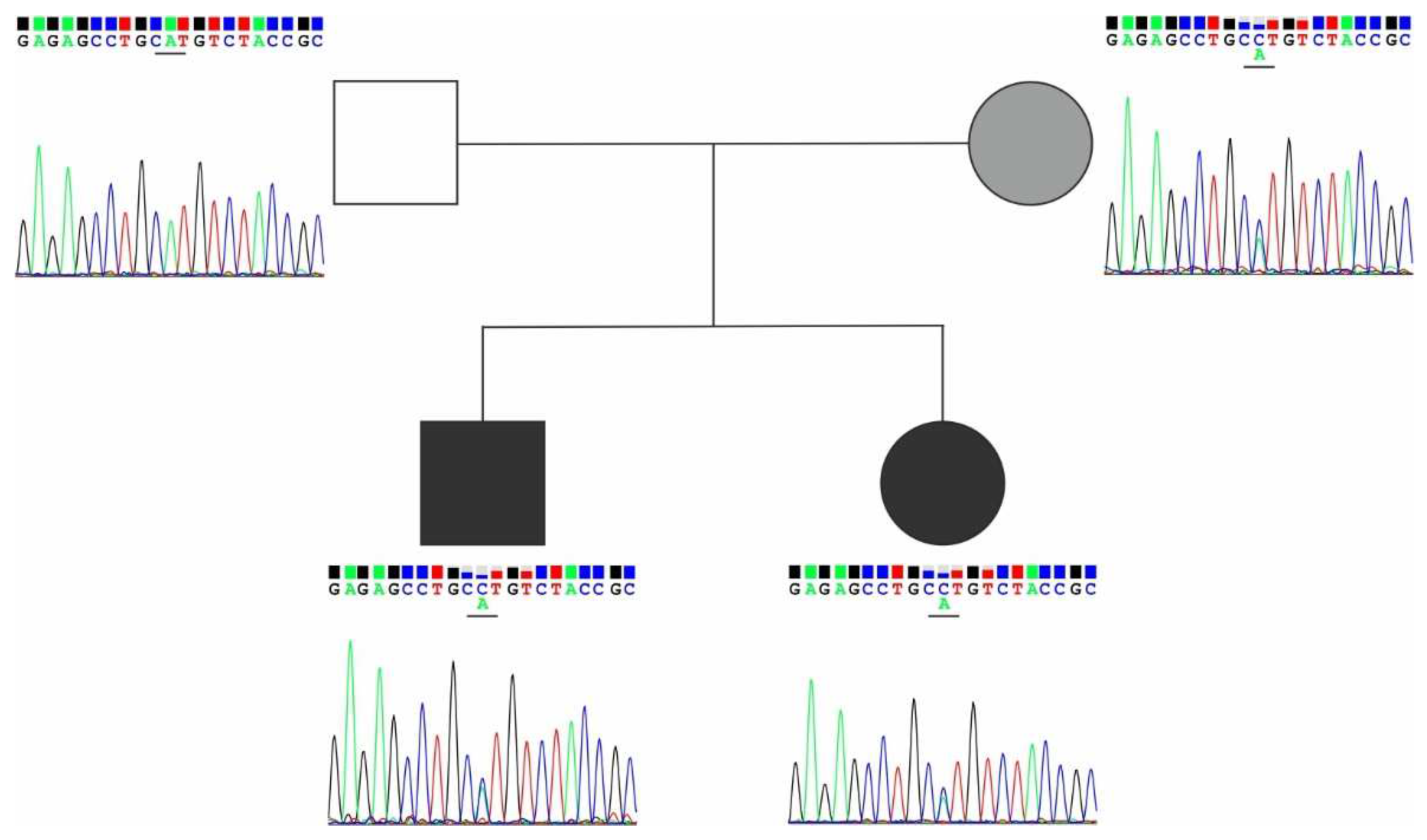 Preprints 96426 g003