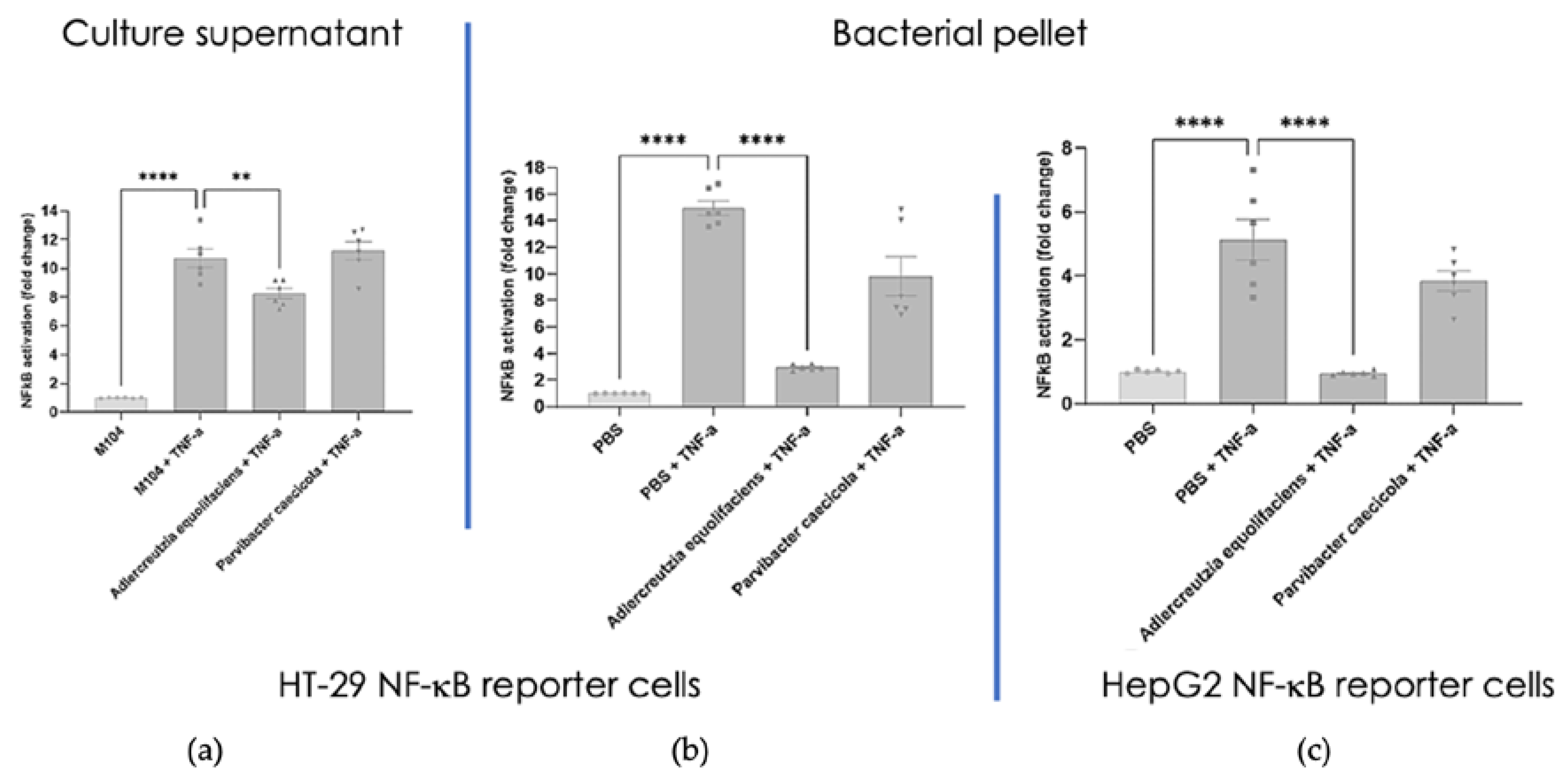 Preprints 75029 g007