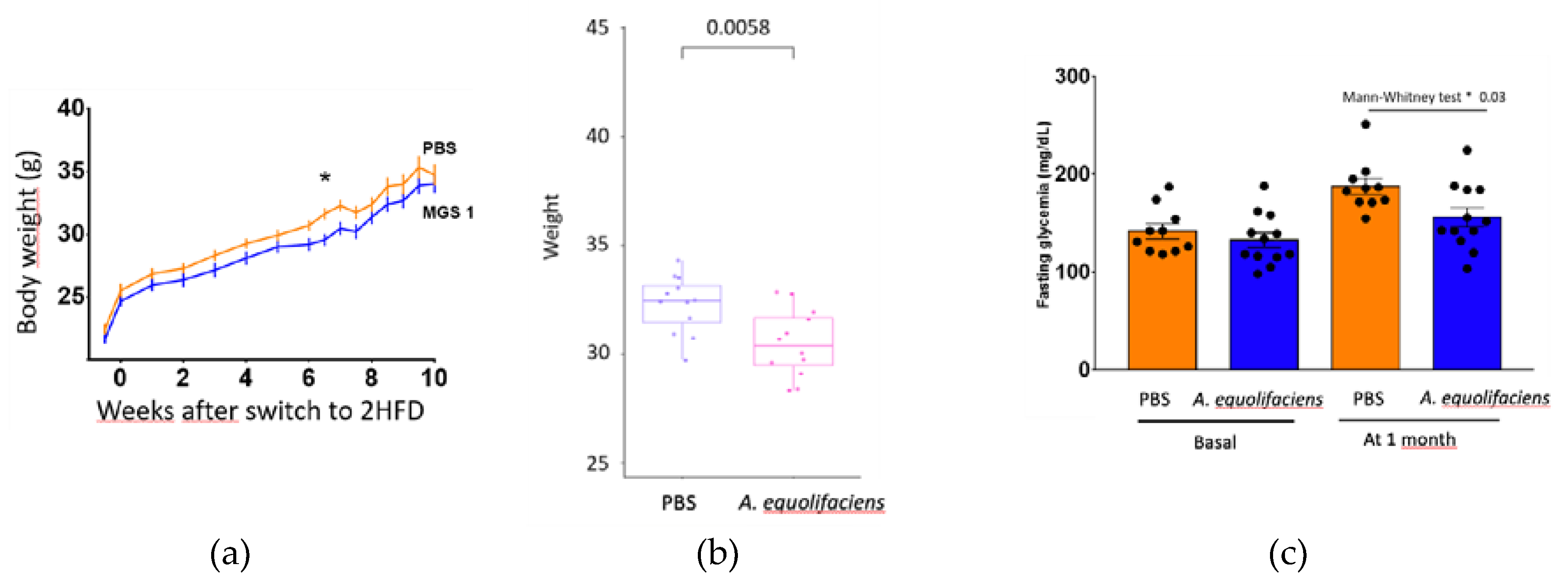 Preprints 75029 g008