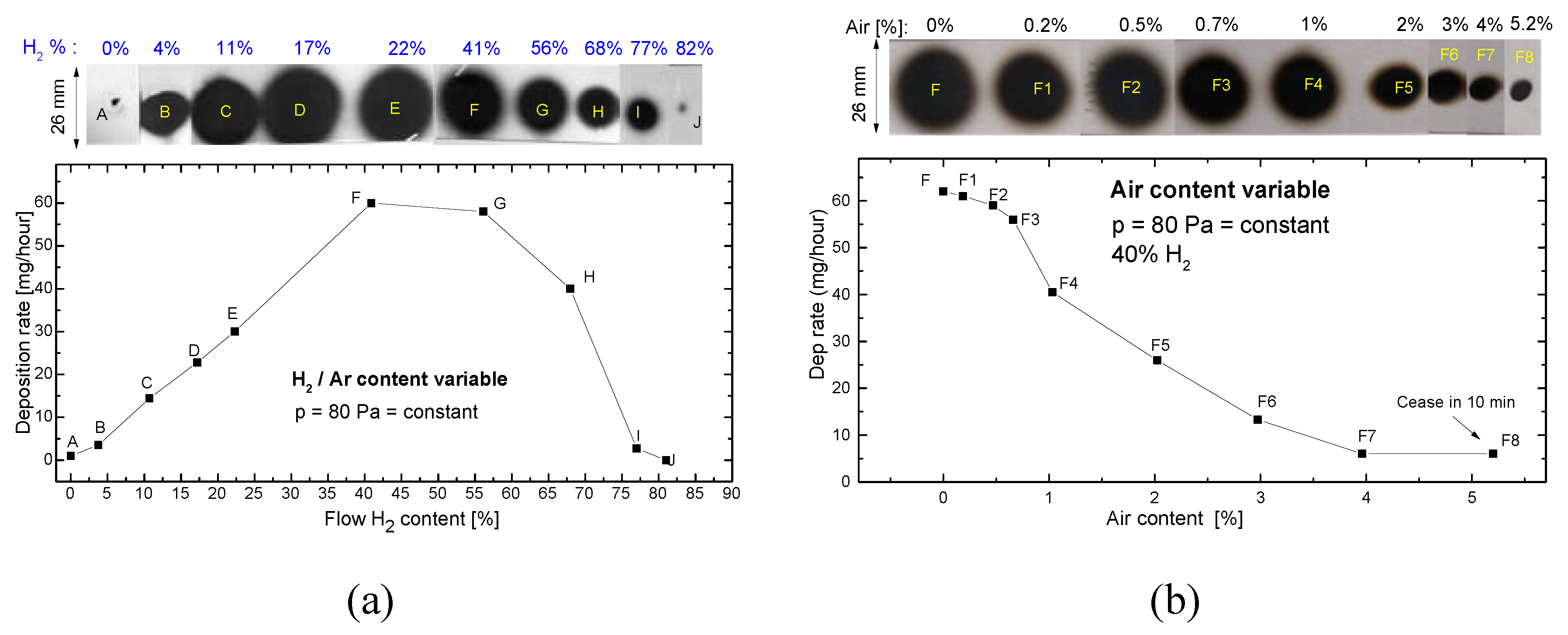 Preprints 110846 g002