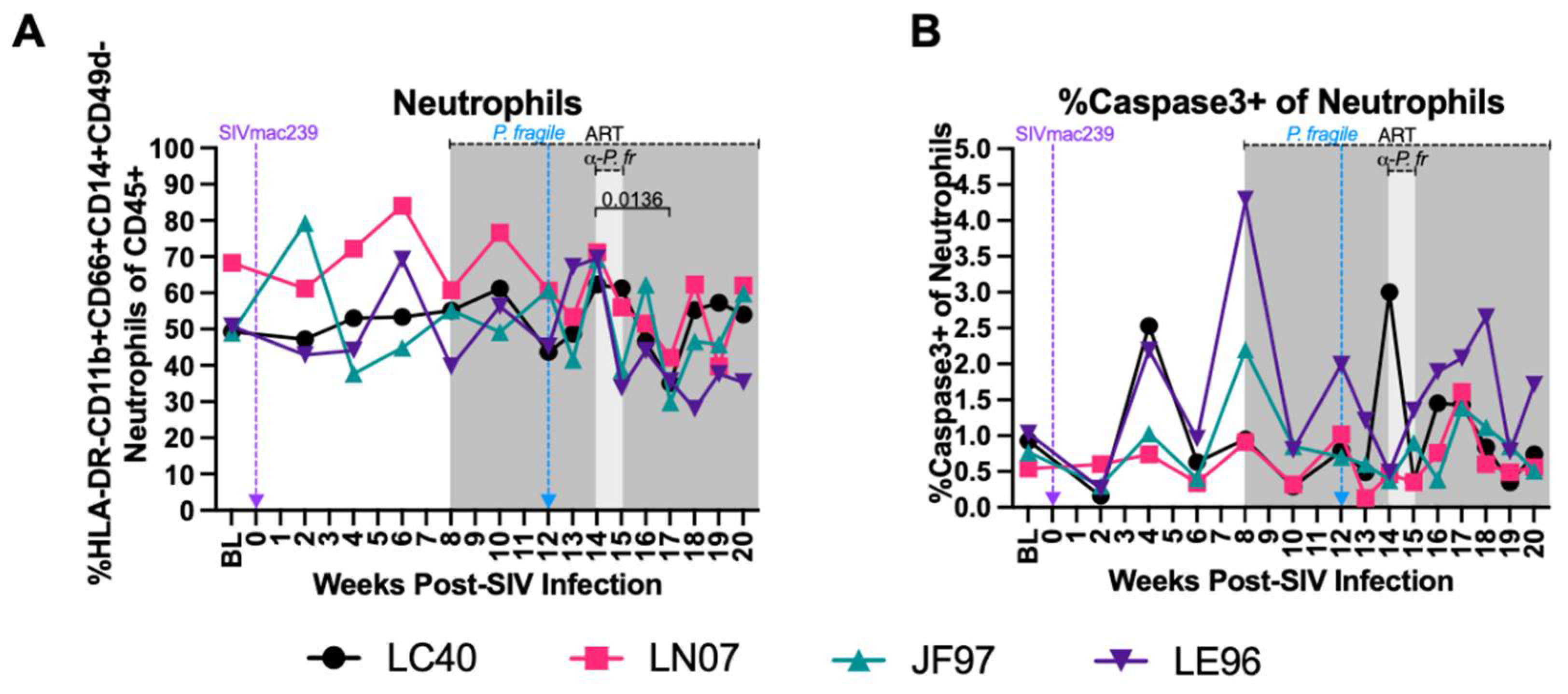 Preprints 106638 g004