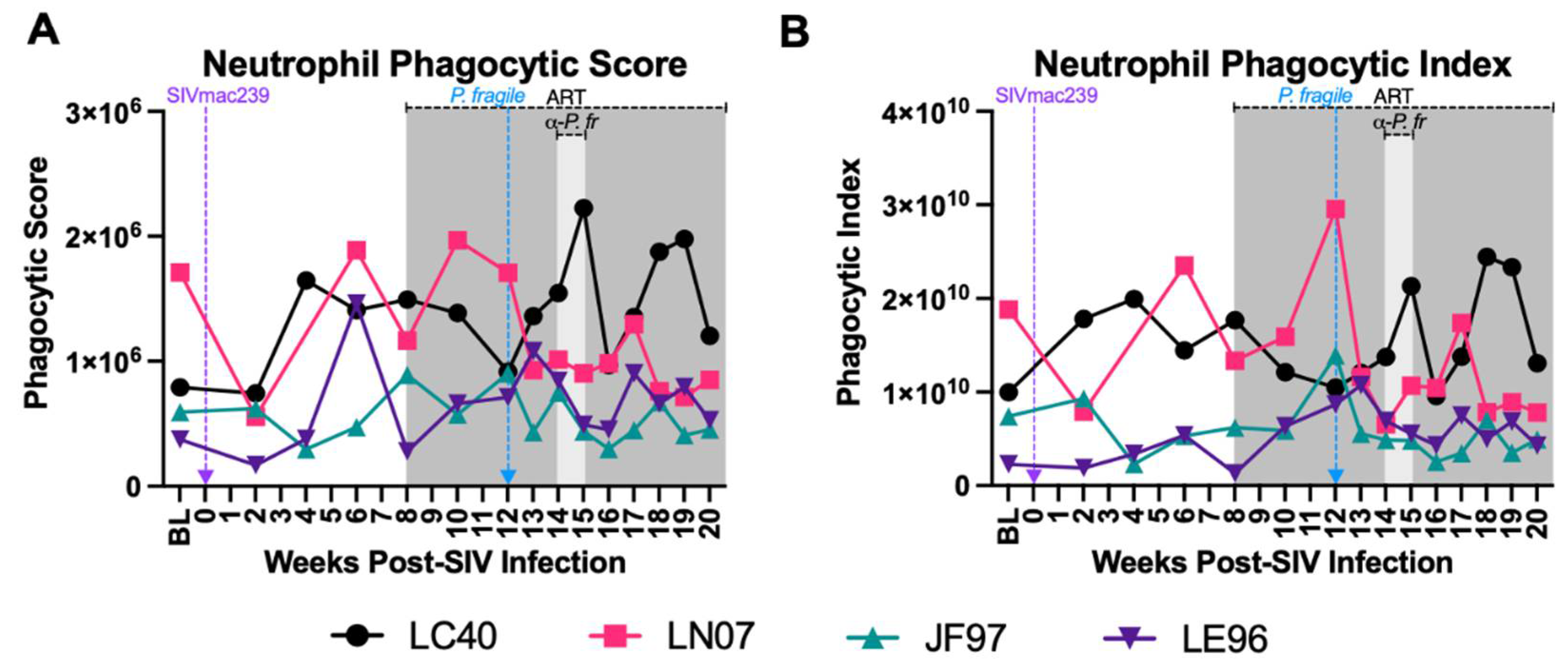 Preprints 106638 g005