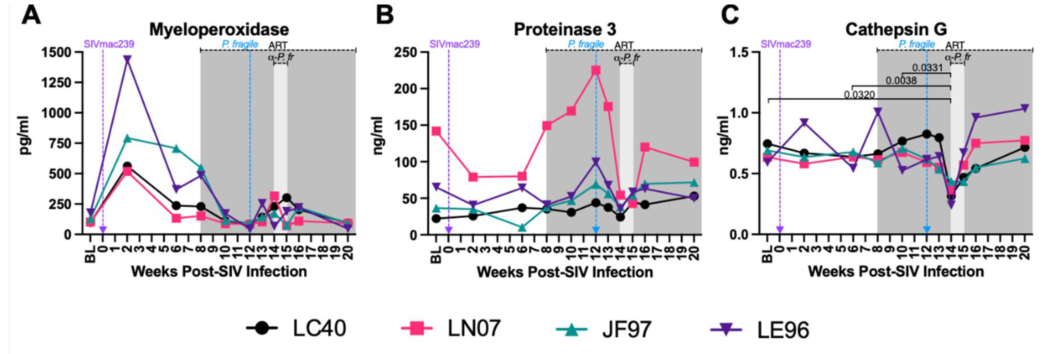 Preprints 106638 g006