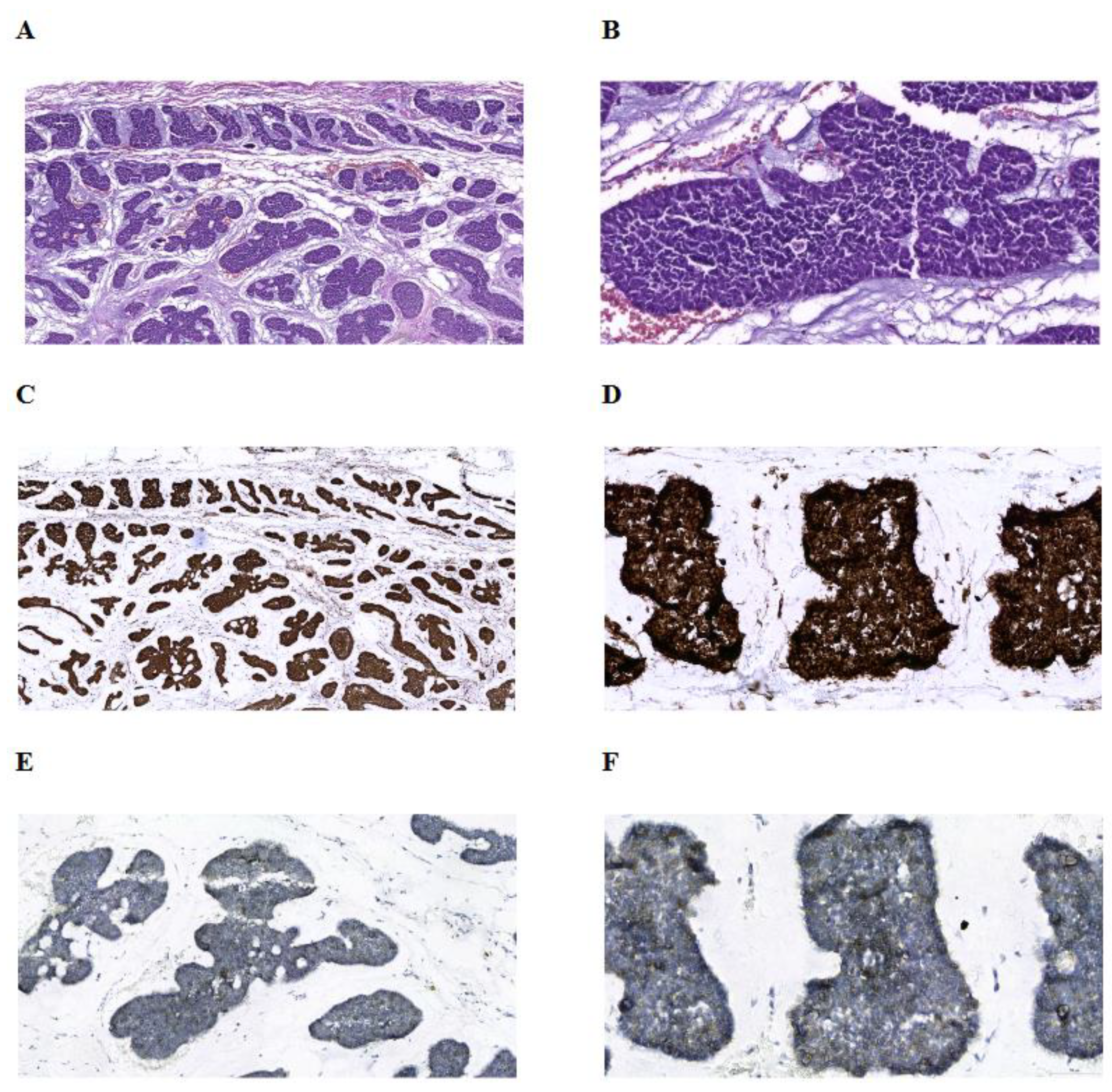 Preprints 114345 g001