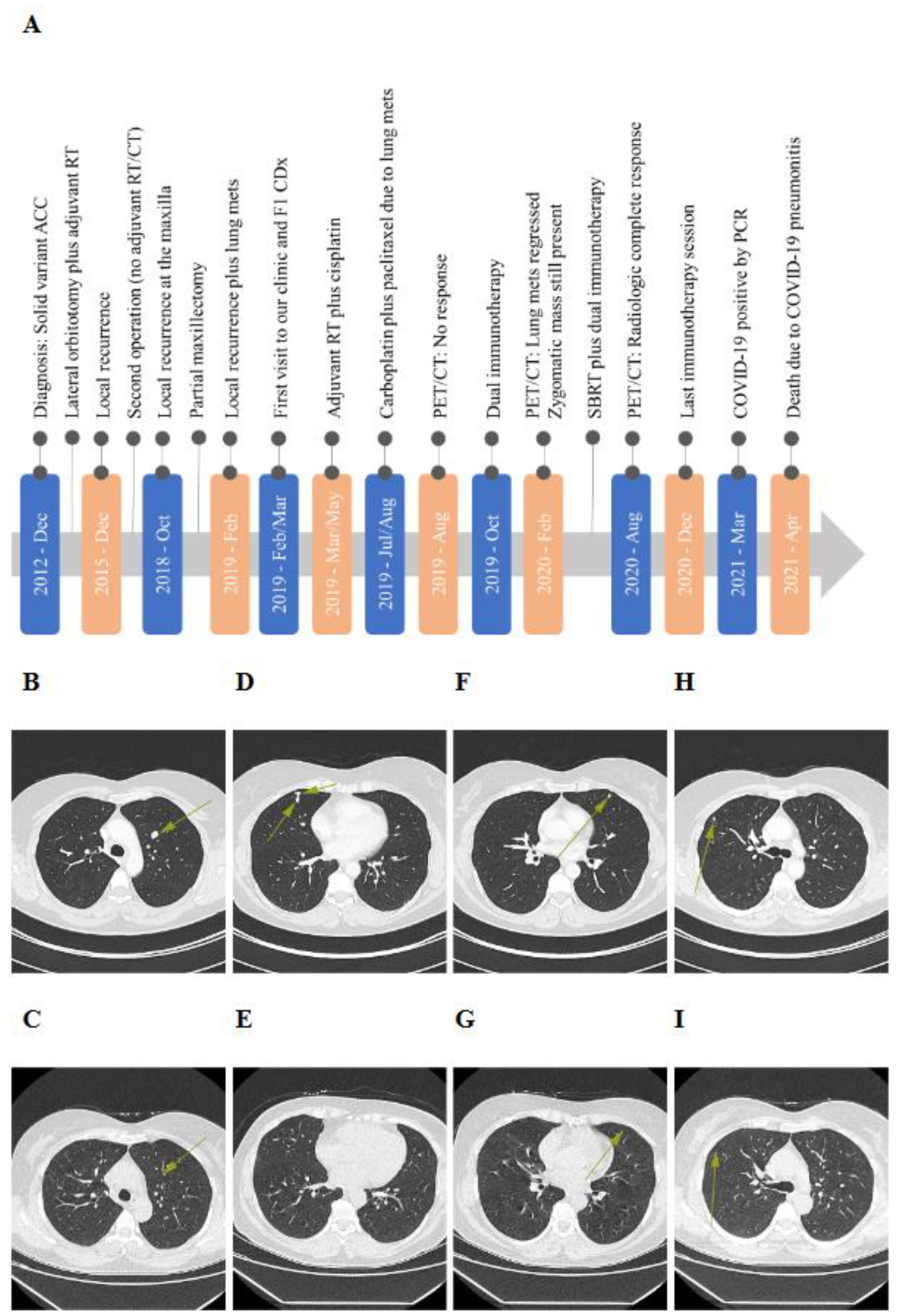 Preprints 114345 g002