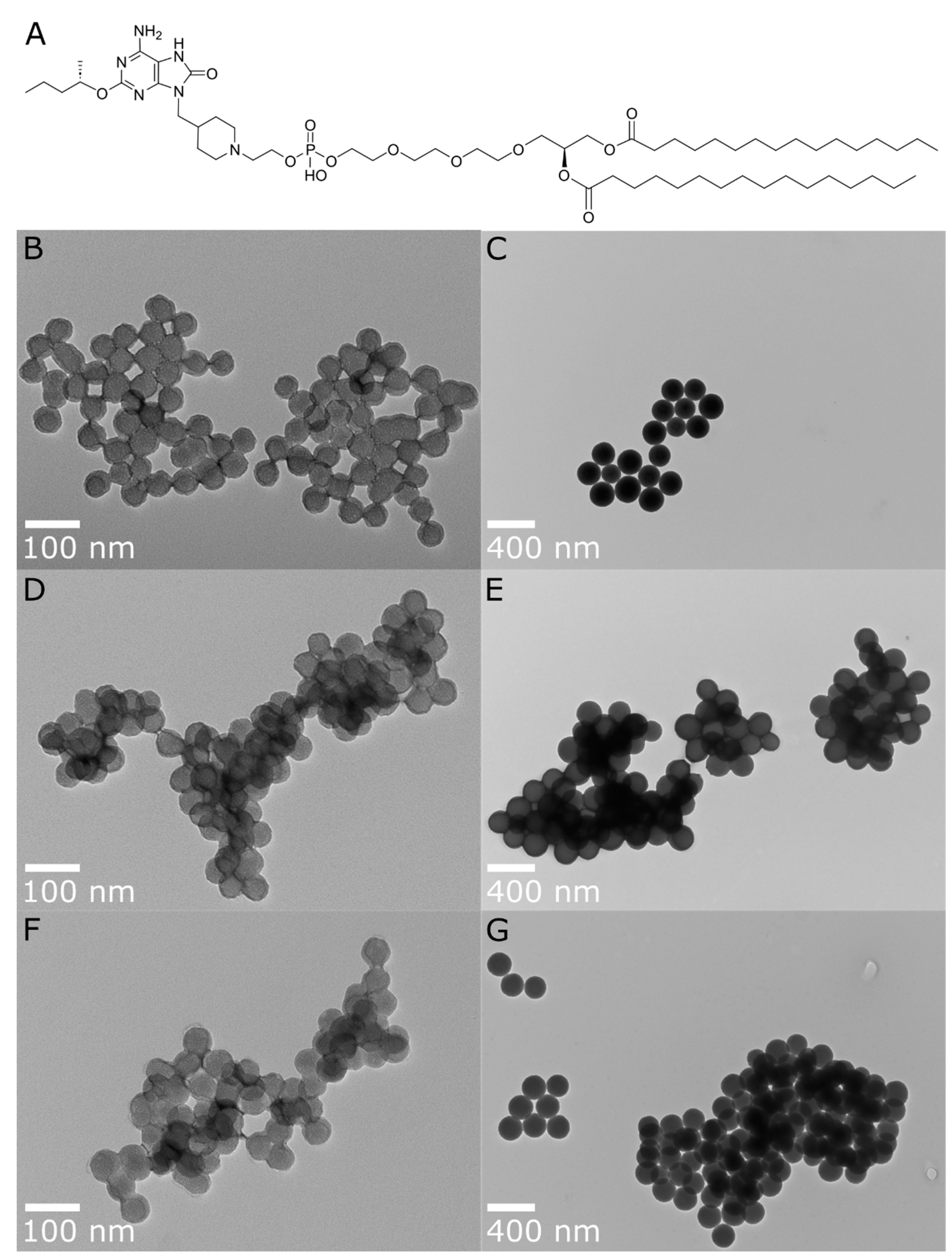 Preprints 93018 g001