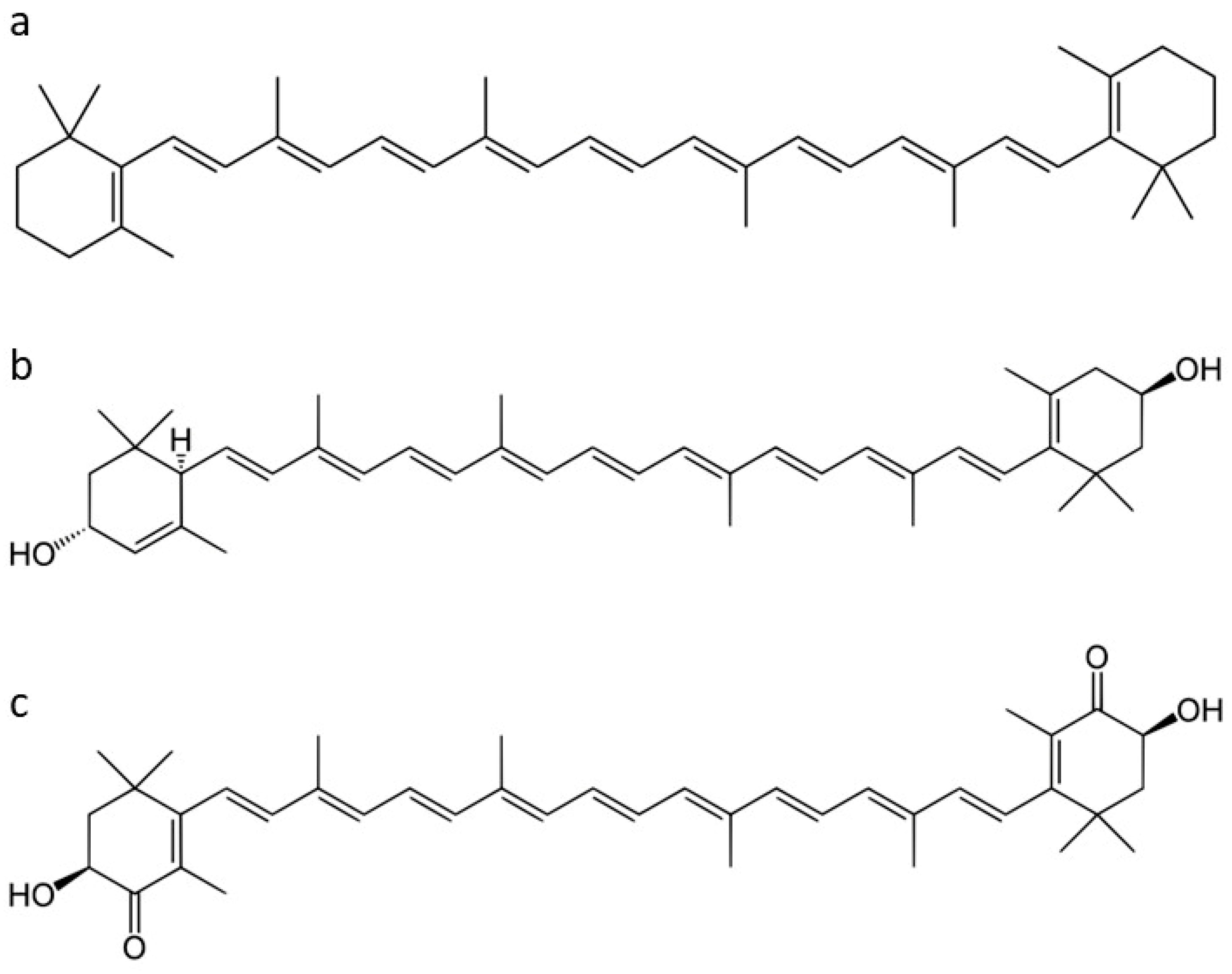 Preprints 84429 g001