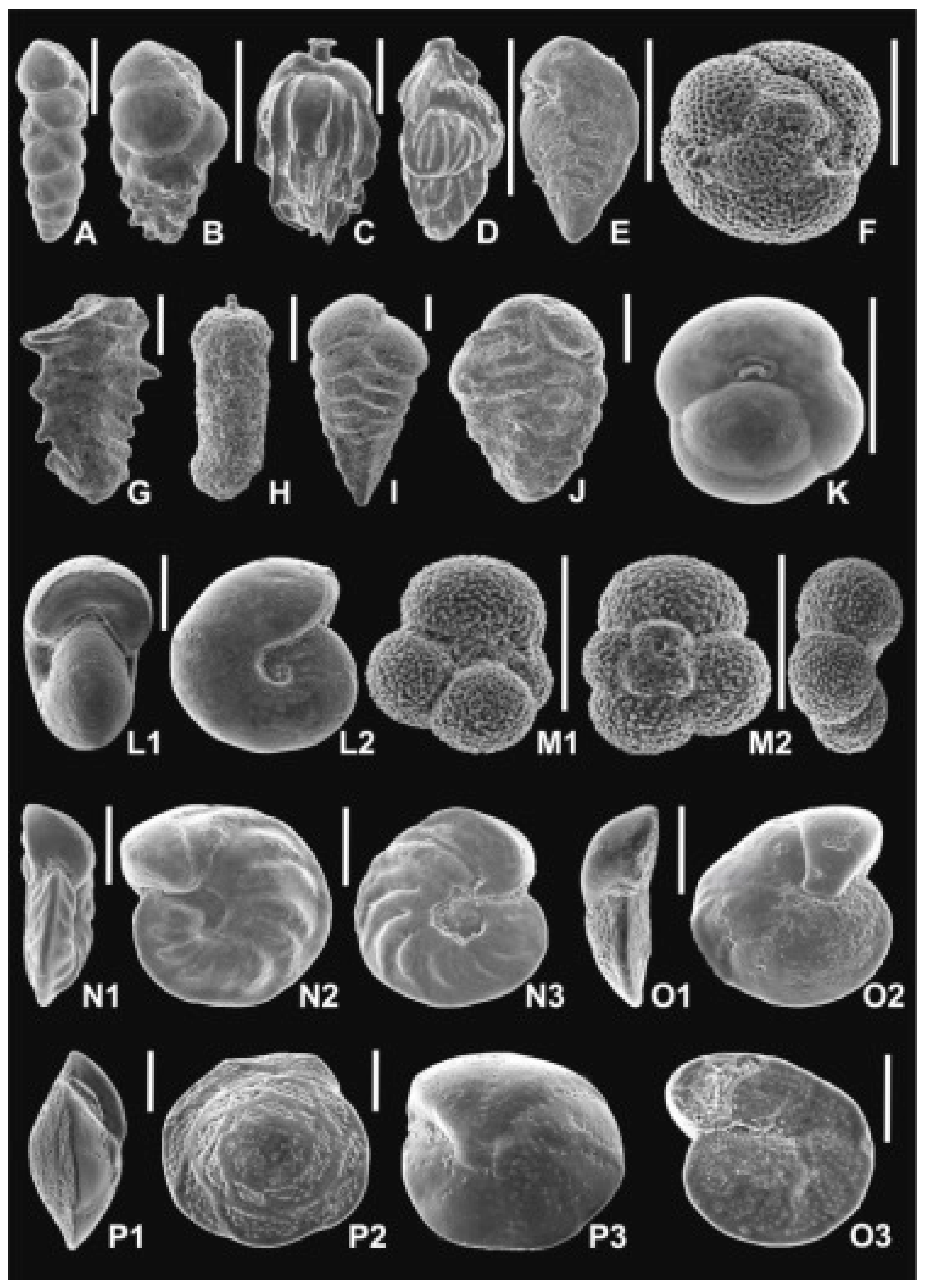 Preprints 96710 g002